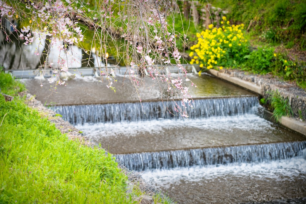 a small waterfall in the middle of a garden