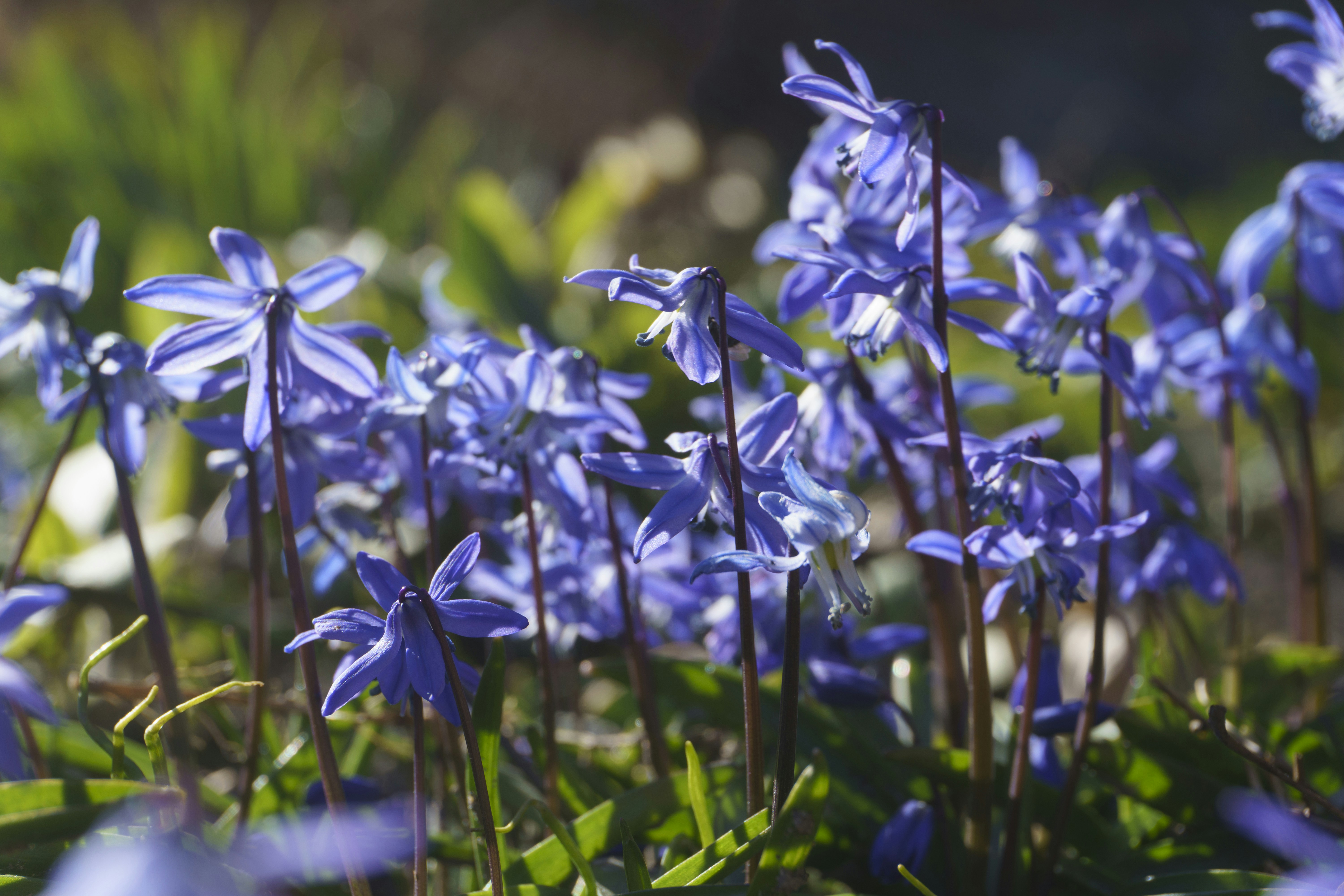 Photo by maheshkkreddy
