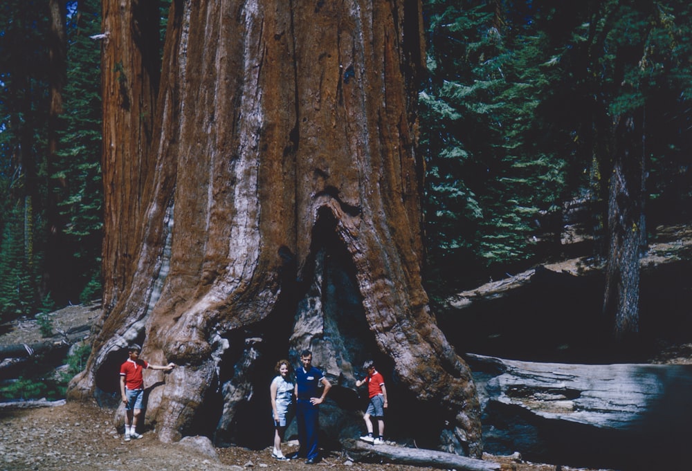 a group of people standing in front of a giant tree