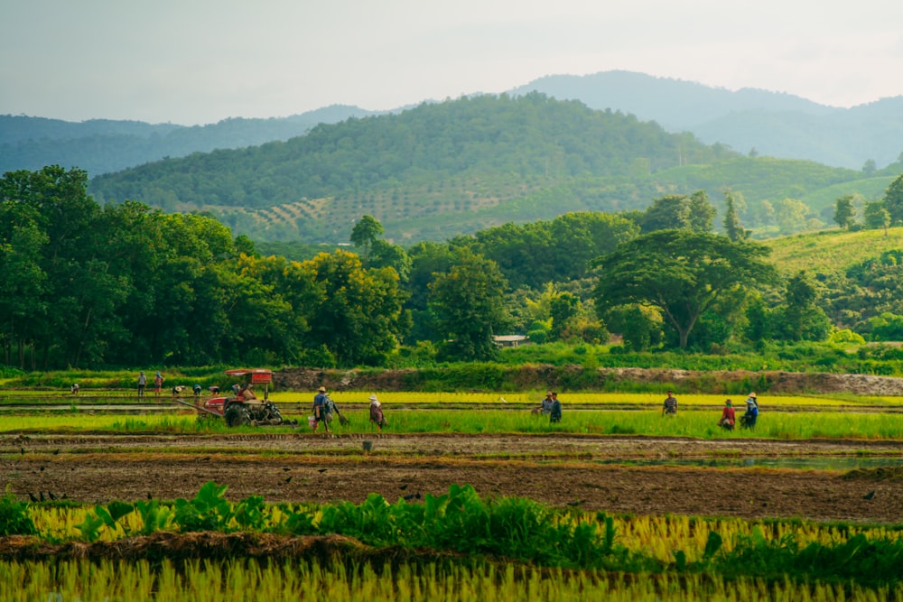 a group of people working in a field with mountains in the background