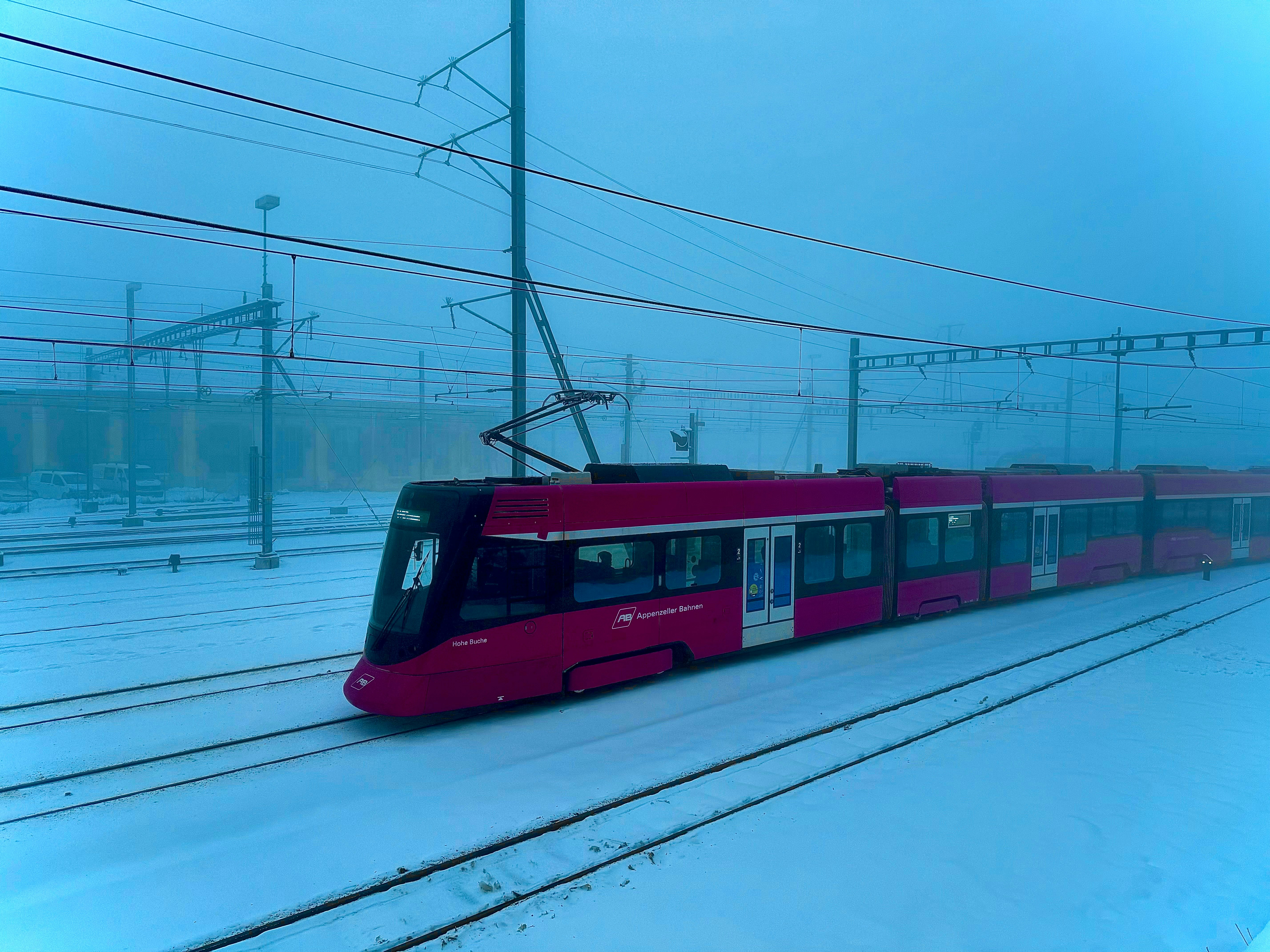 Photo by tenekephotos