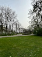 a large grassy field with trees in the background