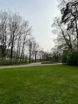 a large grassy field with trees in the background