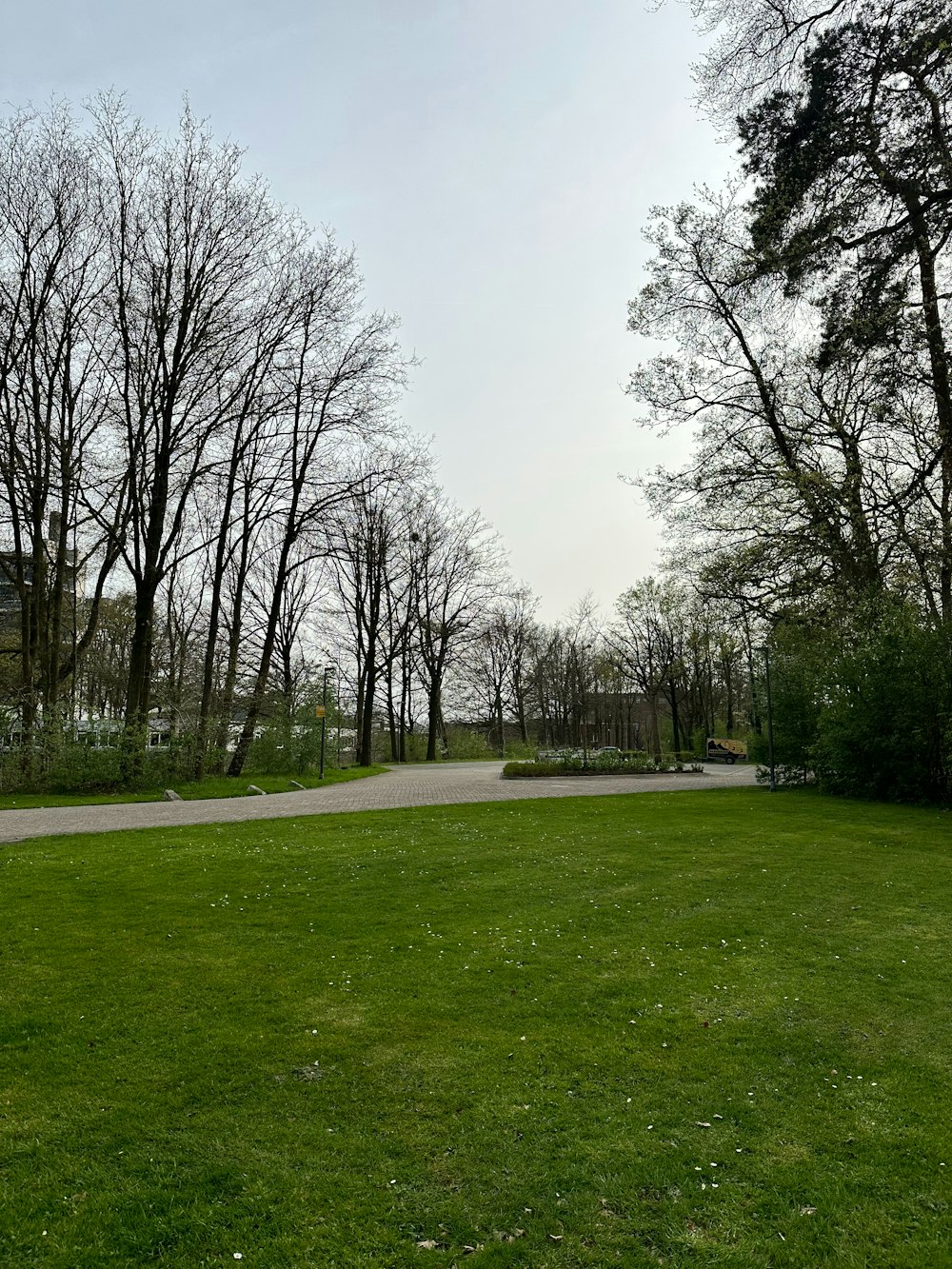 un grand champ herbeux avec des arbres en arrière-plan