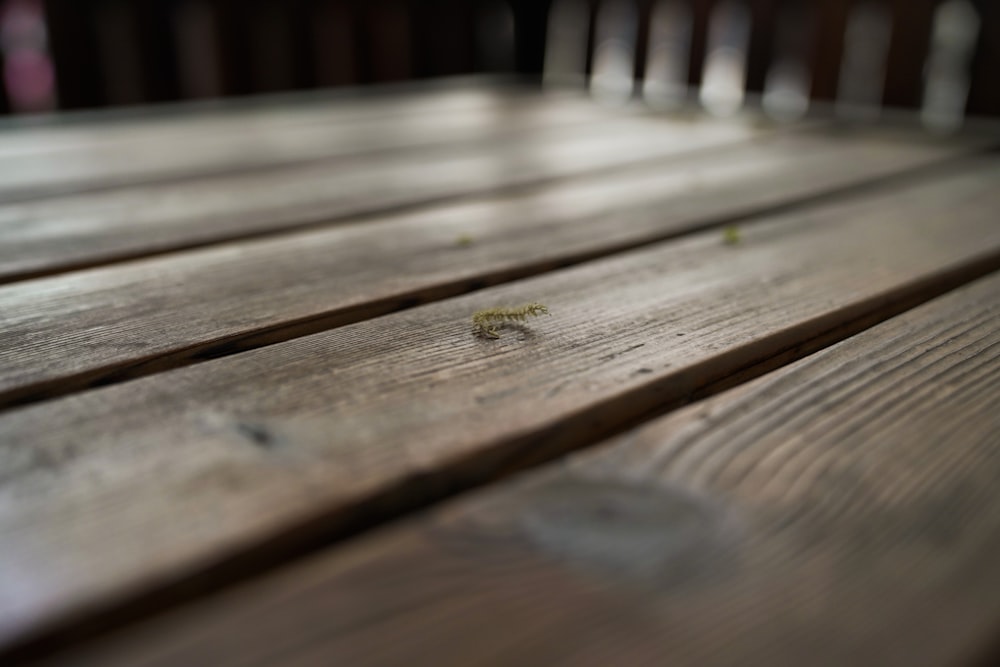 a close up of a wooden table with a bug crawling on it