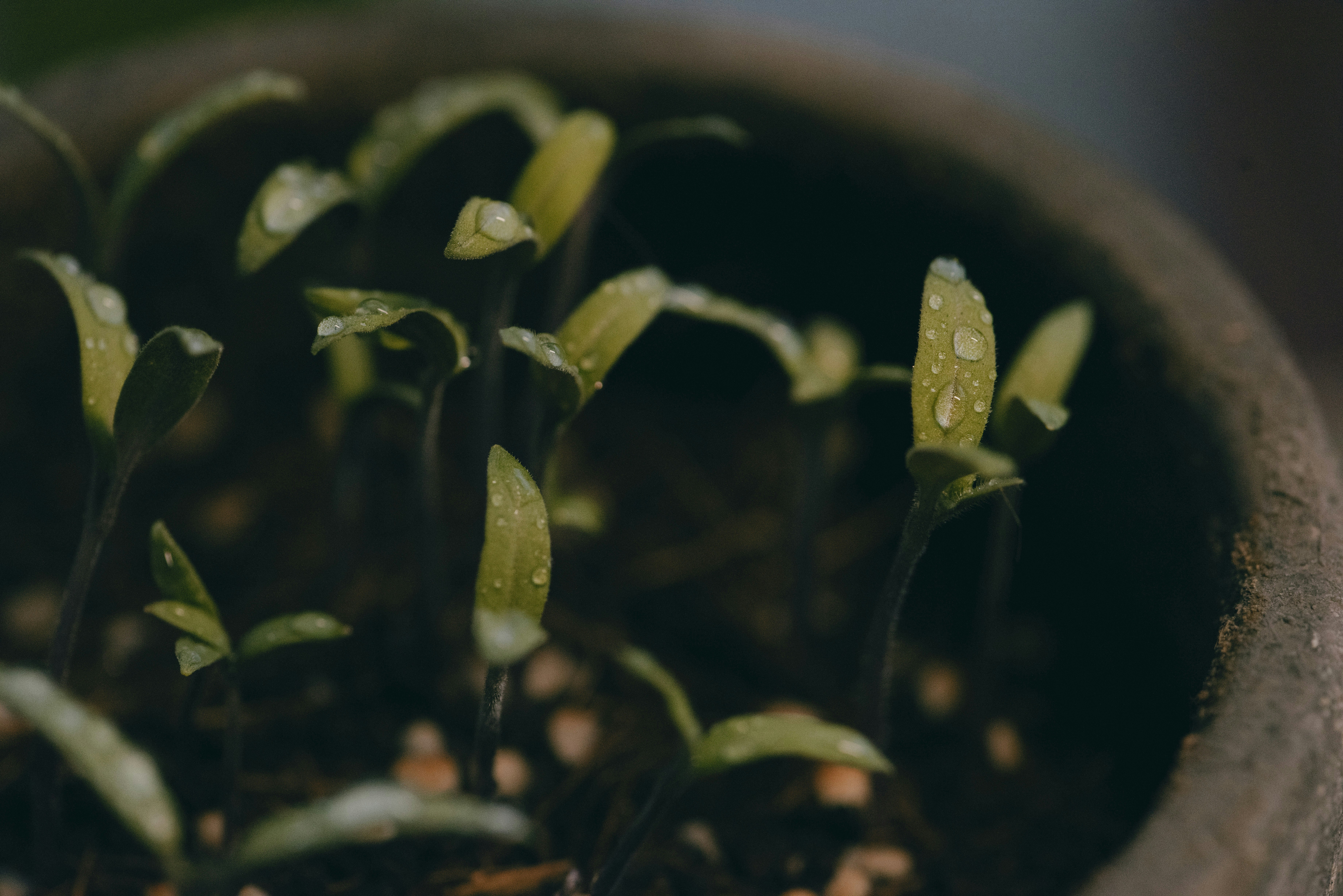 Photo by dodowang1994