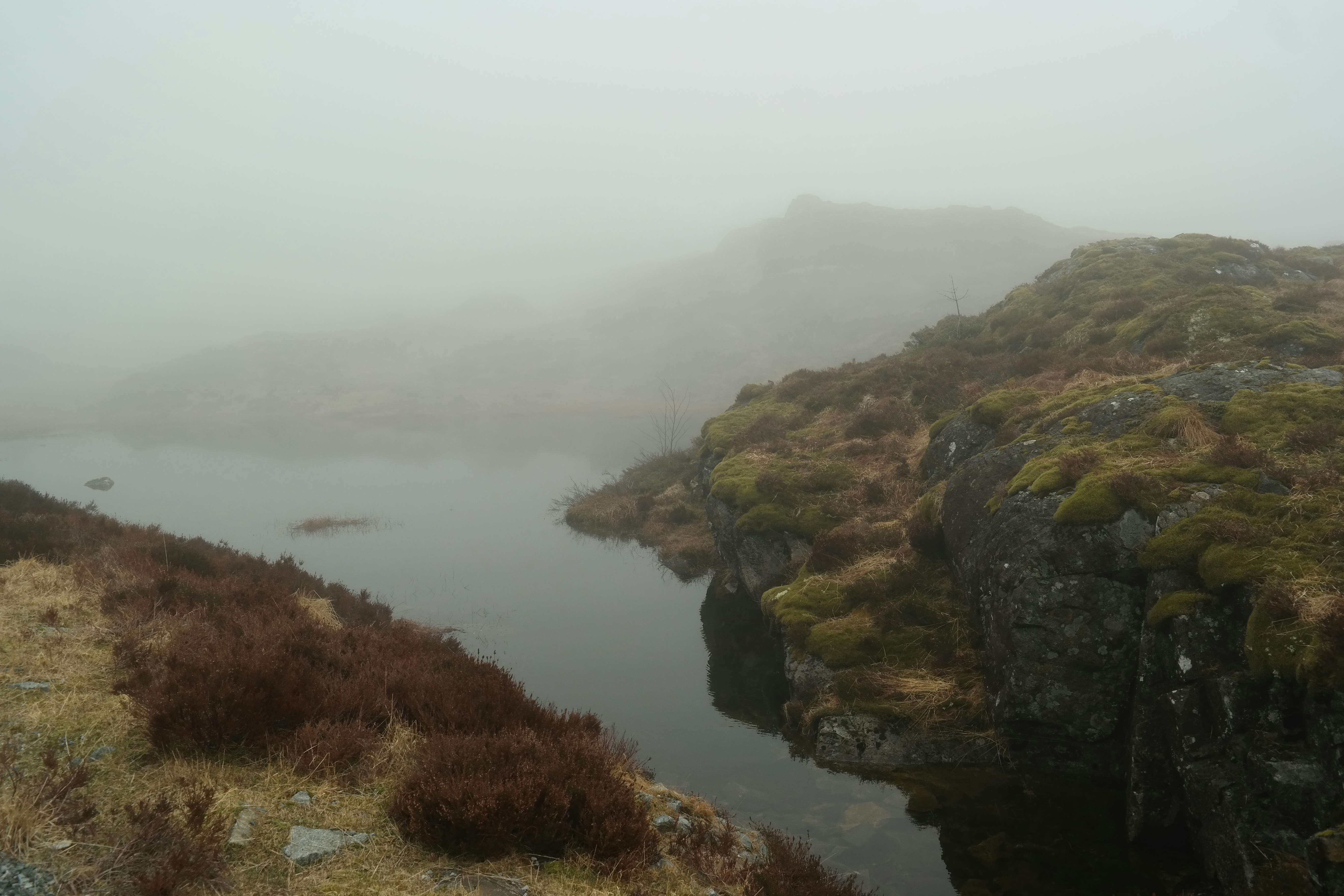 a body of water surrounded by grass and rocks