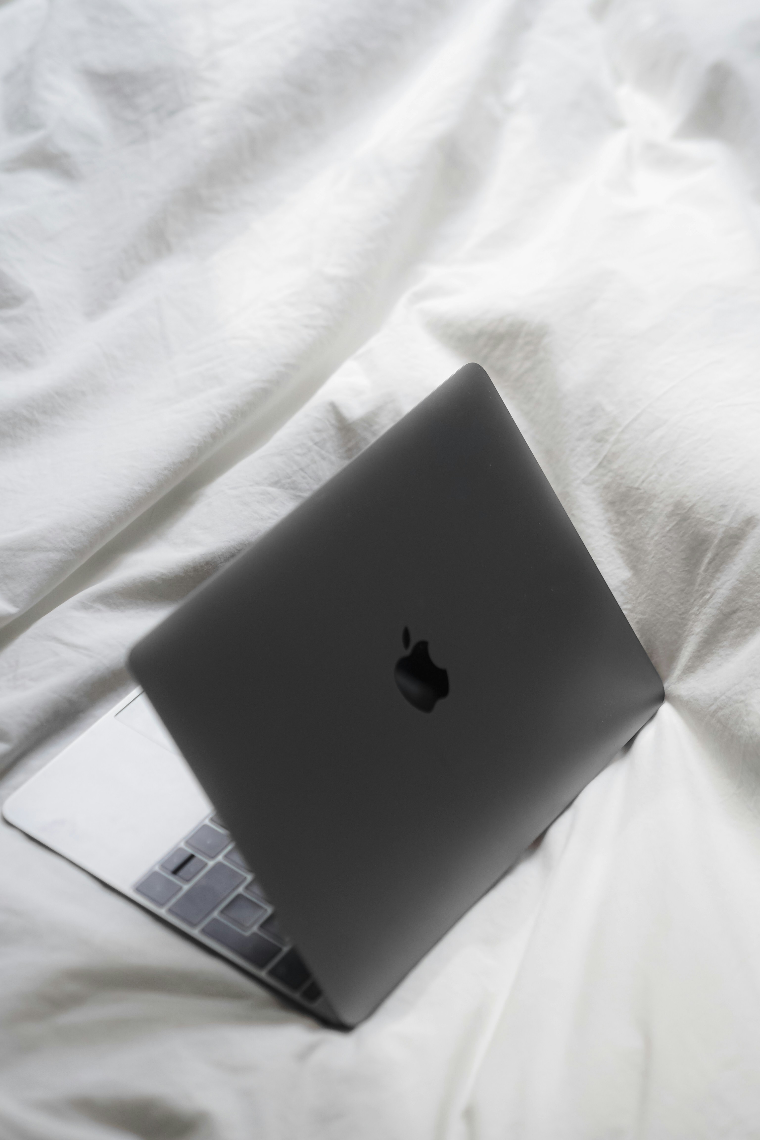 Photo by laurachouette