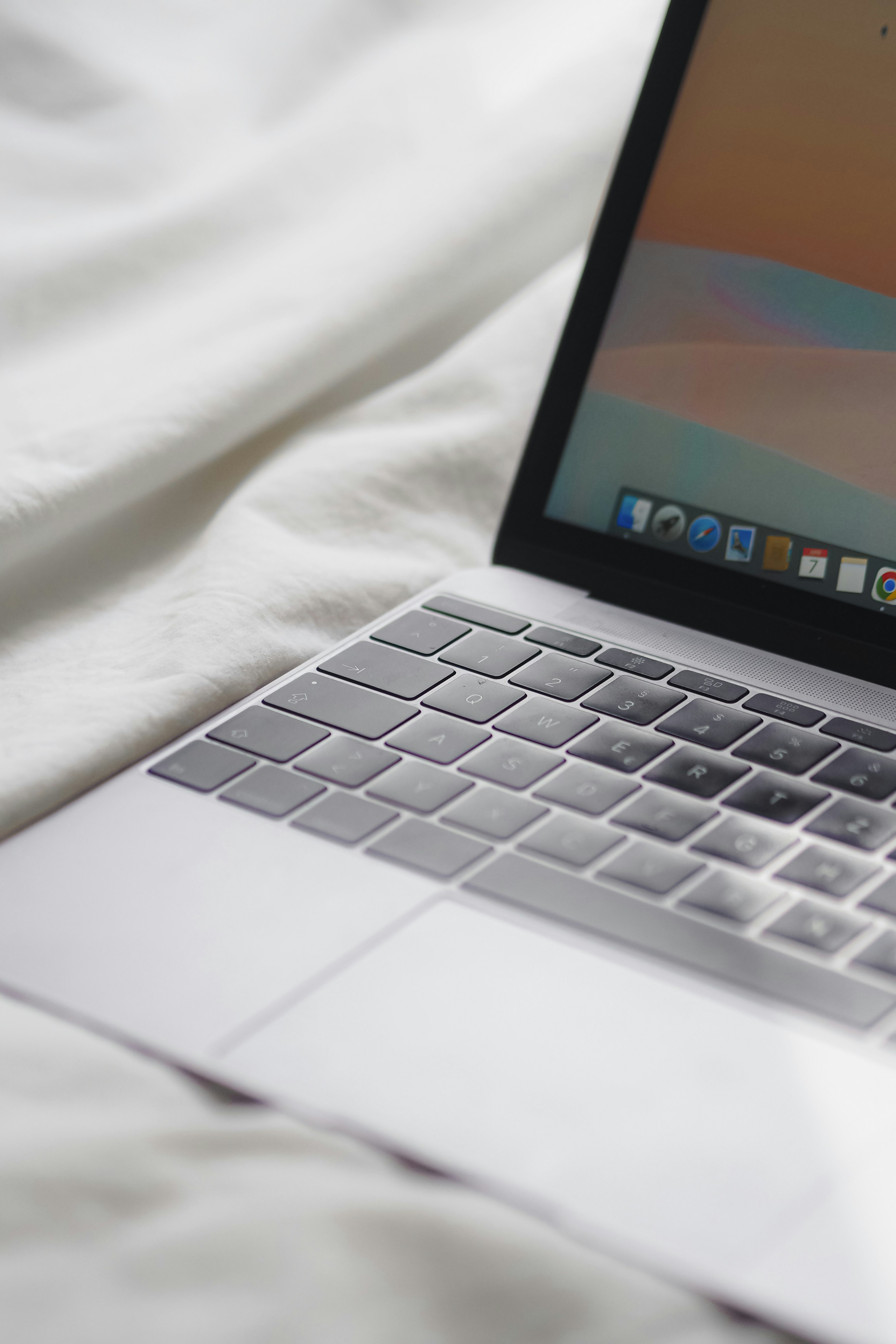 Photo by laurachouette