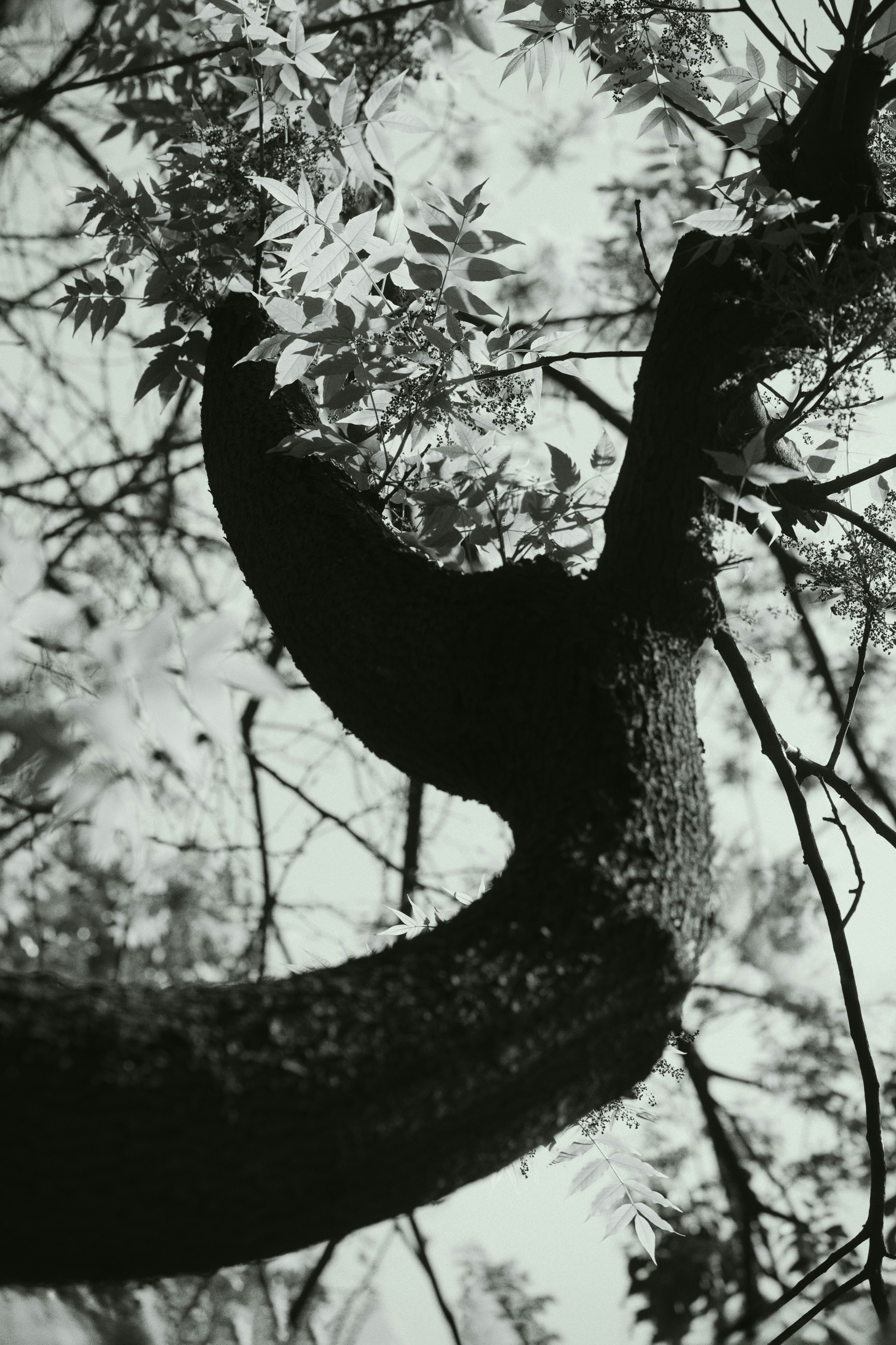 Photo by dodowang1994