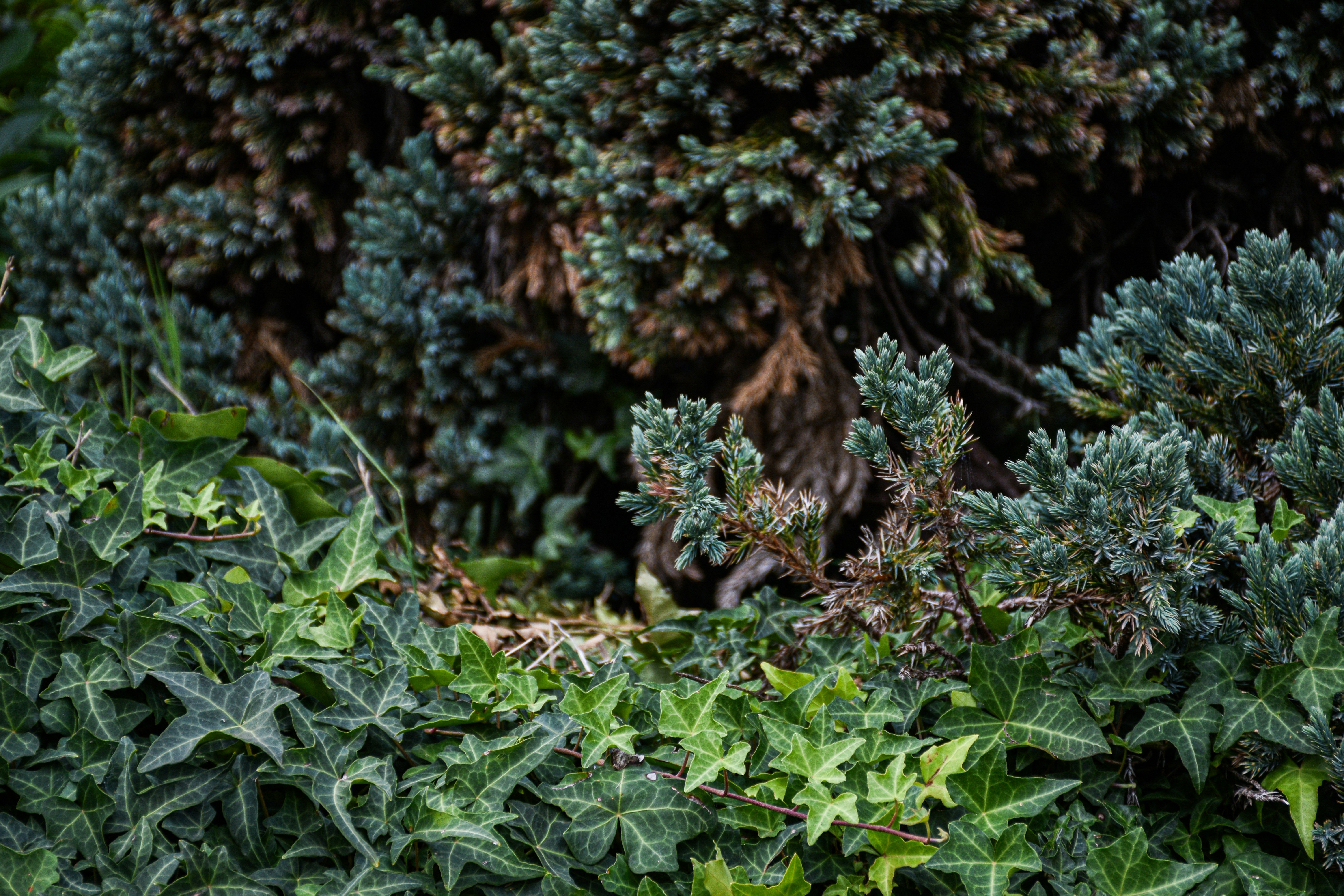 Photo by adam_skrinnikoff