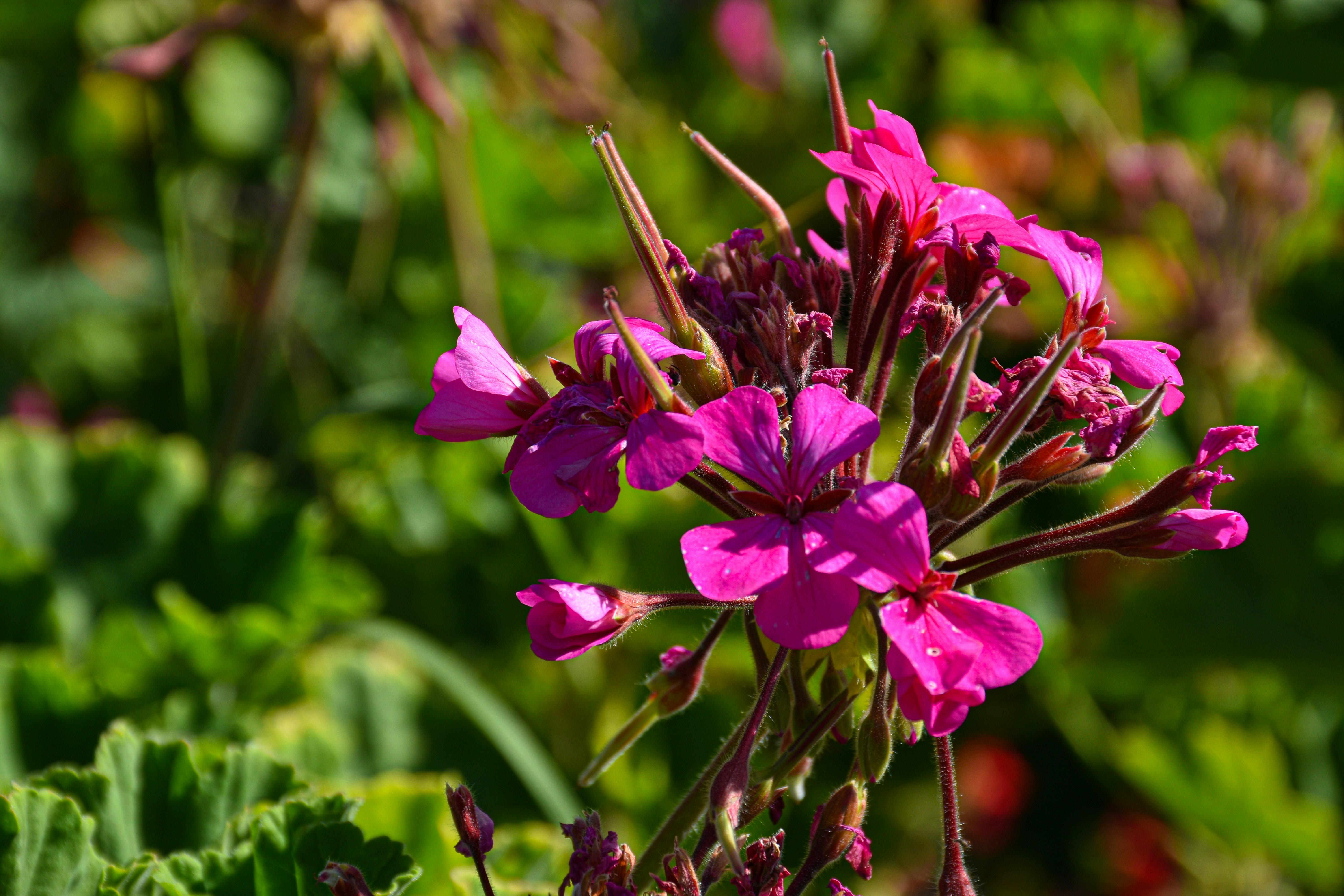 Photo by adam_skrinnikoff