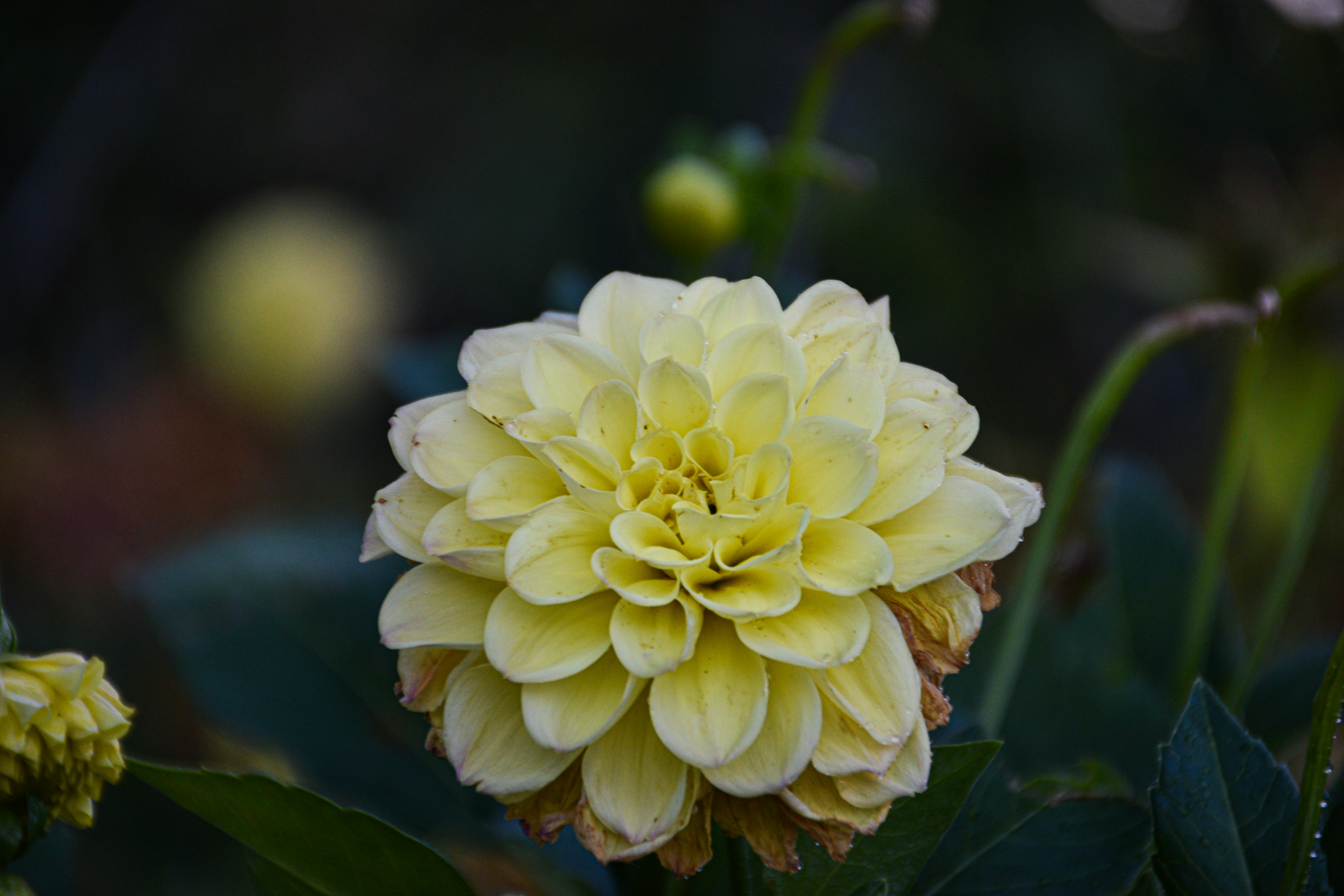 Photo by adam_skrinnikoff