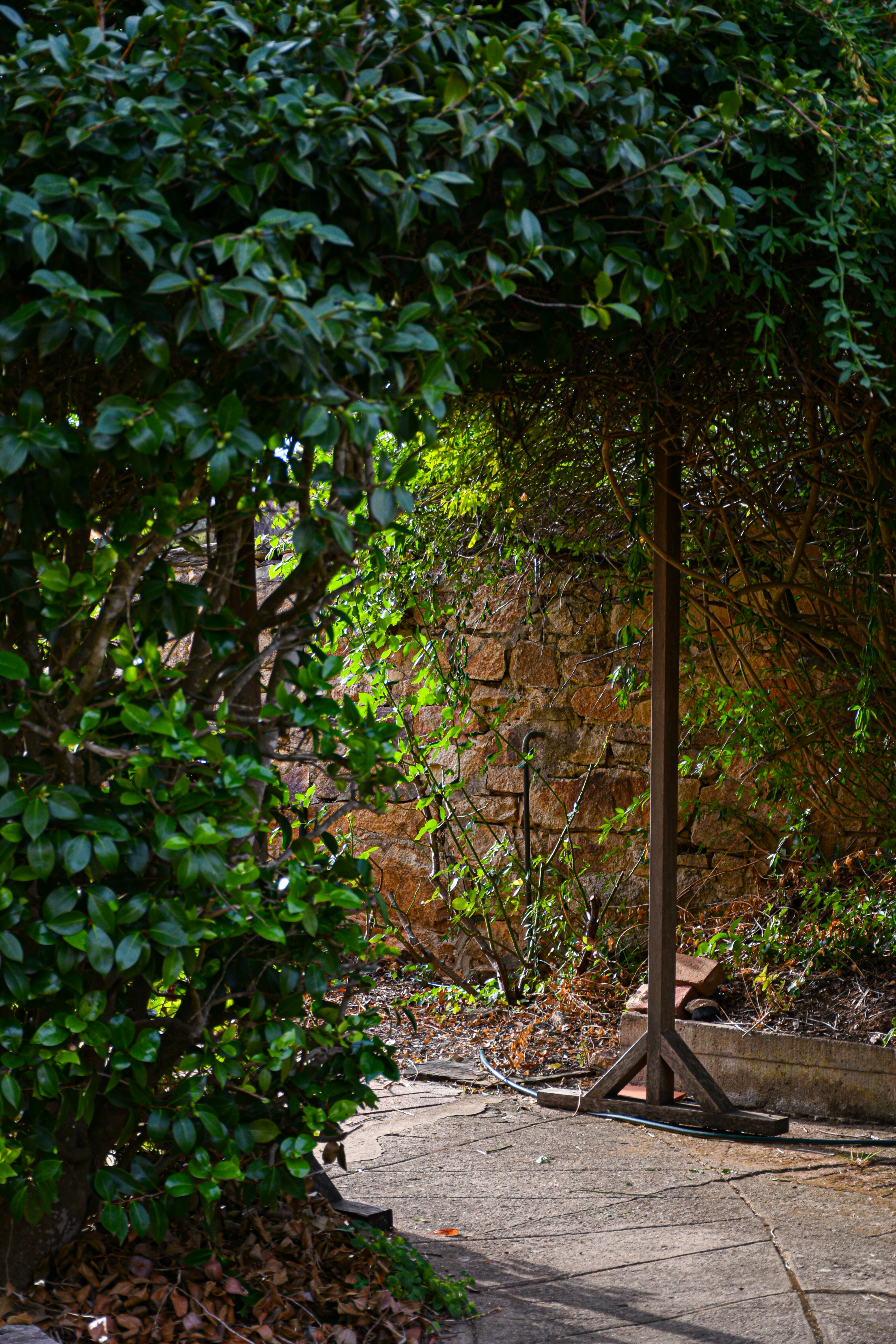 Photo by adam_skrinnikoff