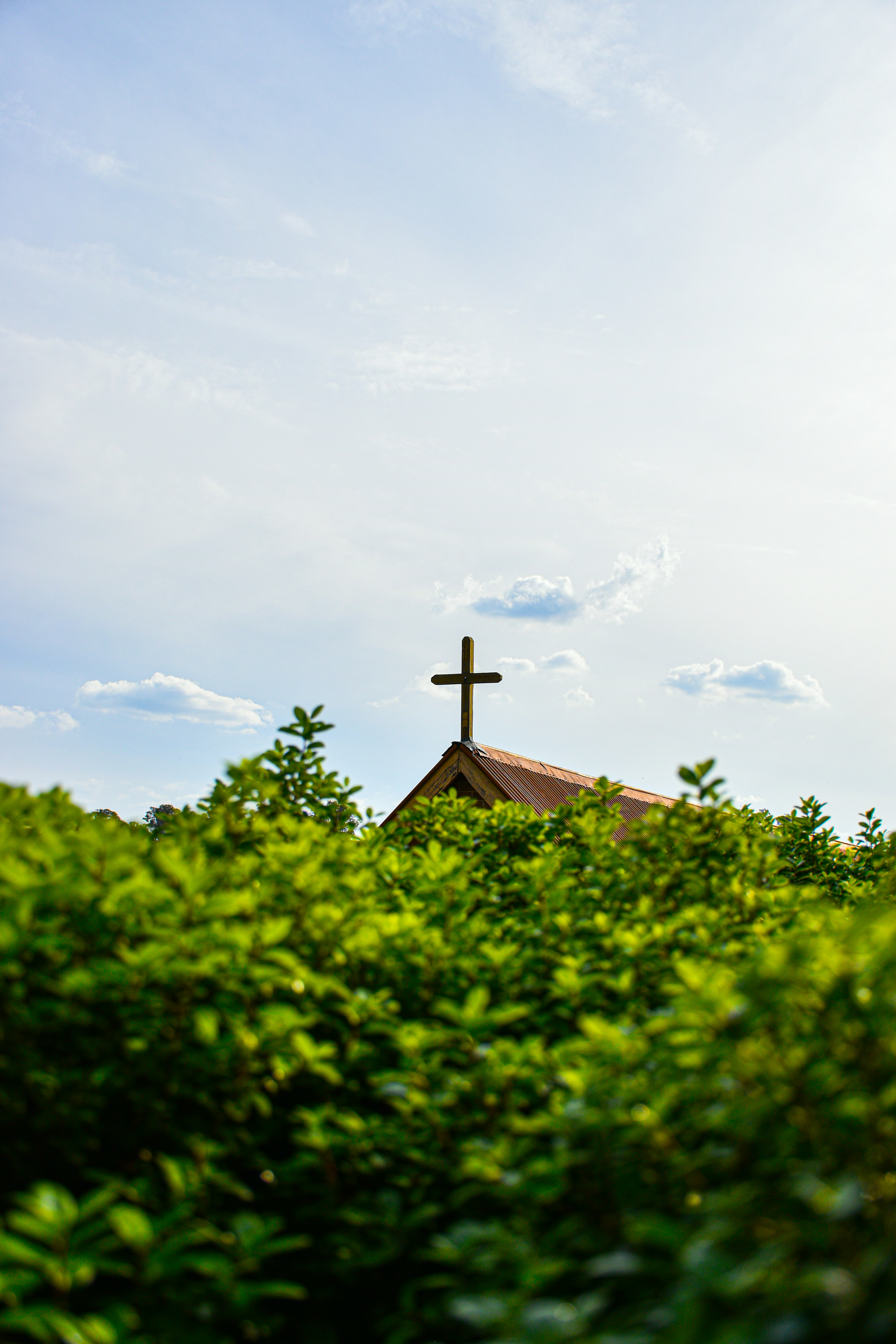 Photo by adam_skrinnikoff