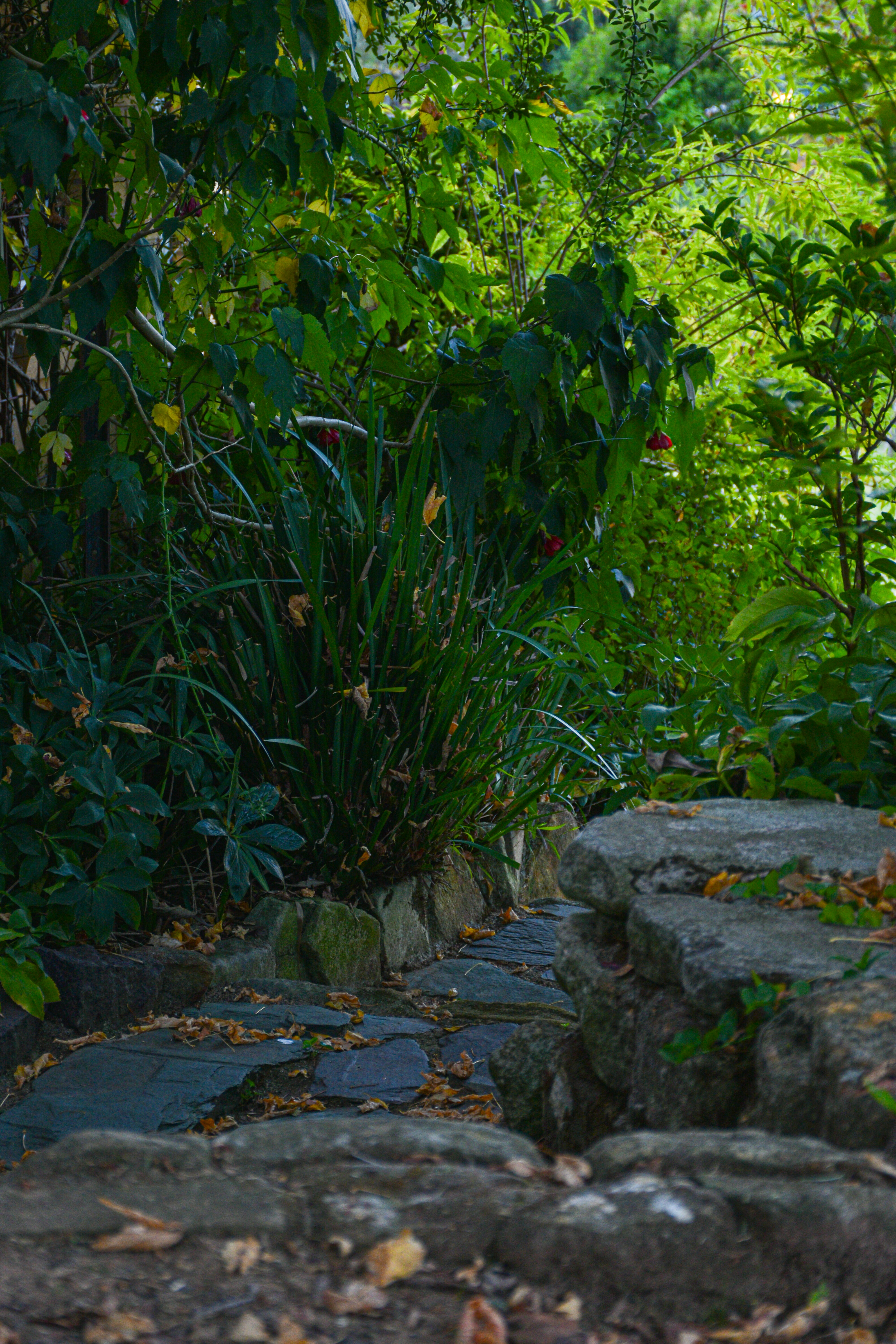 Photo by adam_skrinnikoff