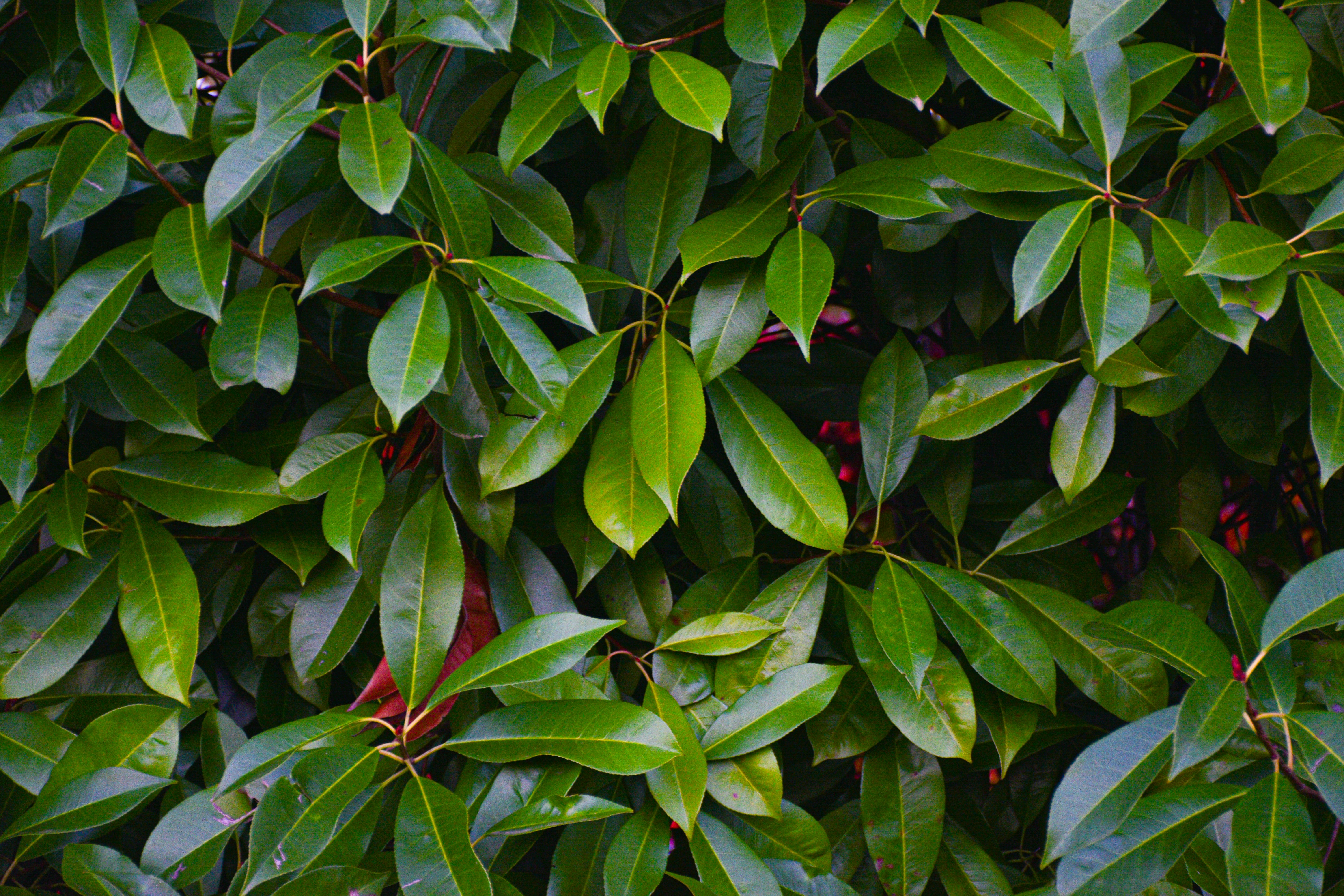 Photo by adam_skrinnikoff