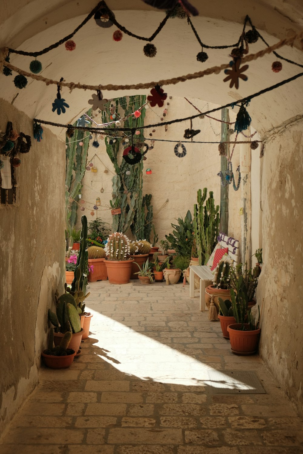 a room filled with lots of potted plants