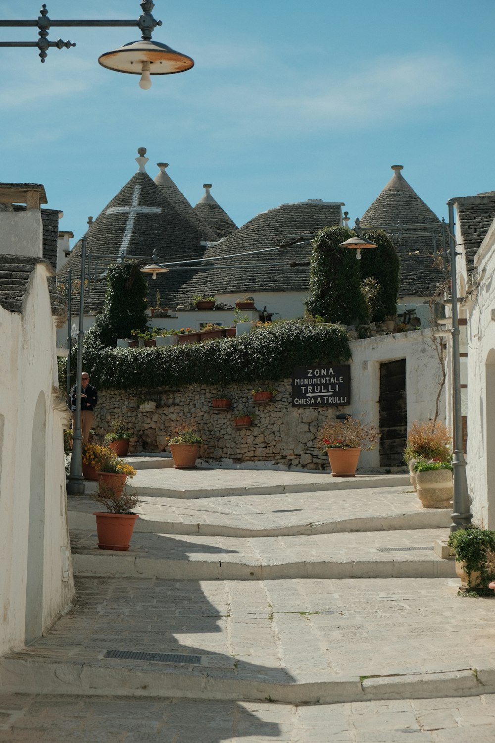 a cobblestone street lined with potted plants