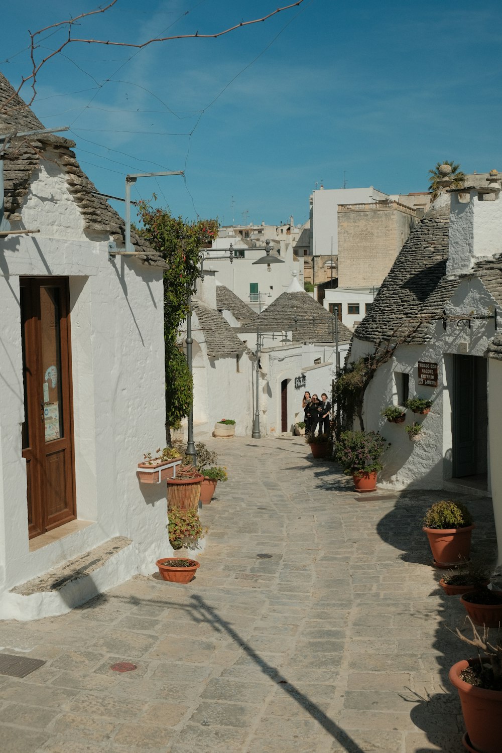 a cobblestone street lined with potted plants