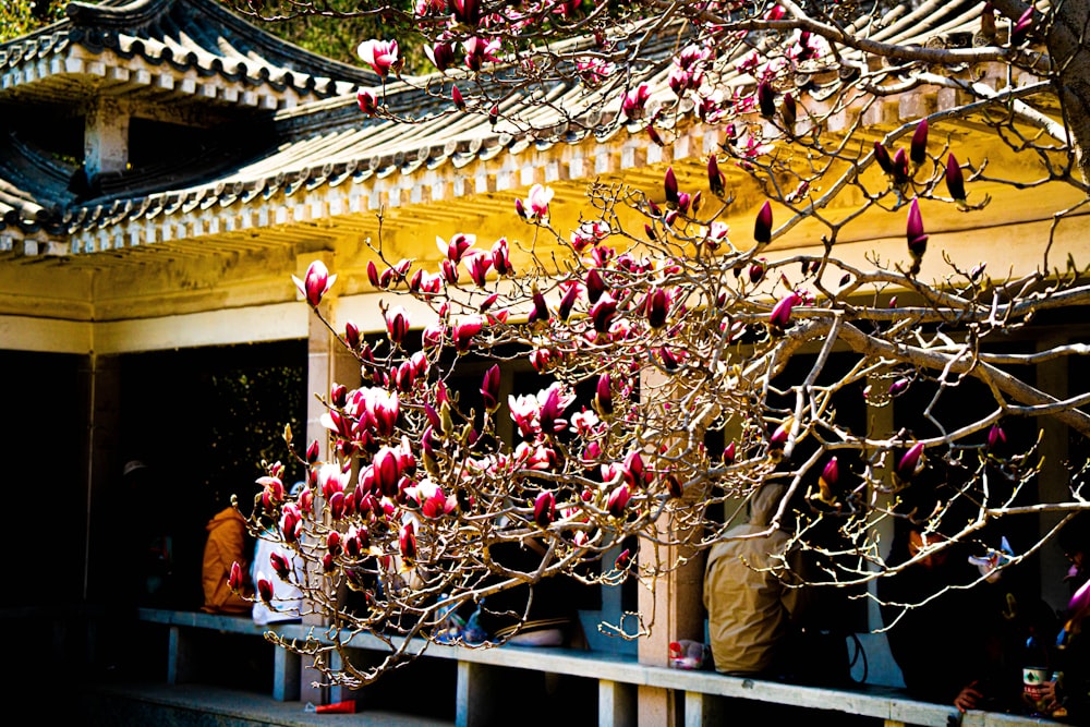 a tree with red flowers in front of a building