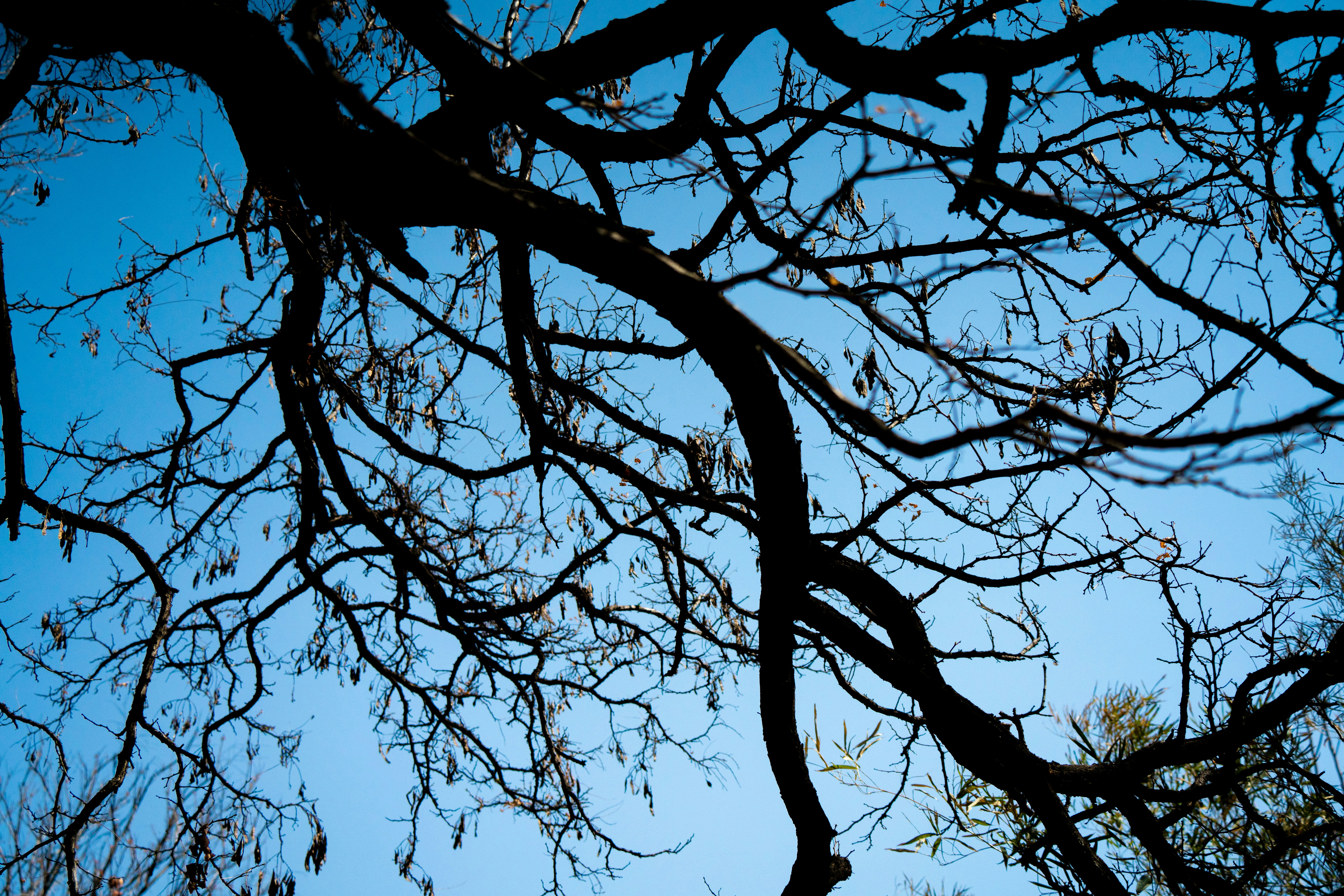 Photo by fanrenxiaosa