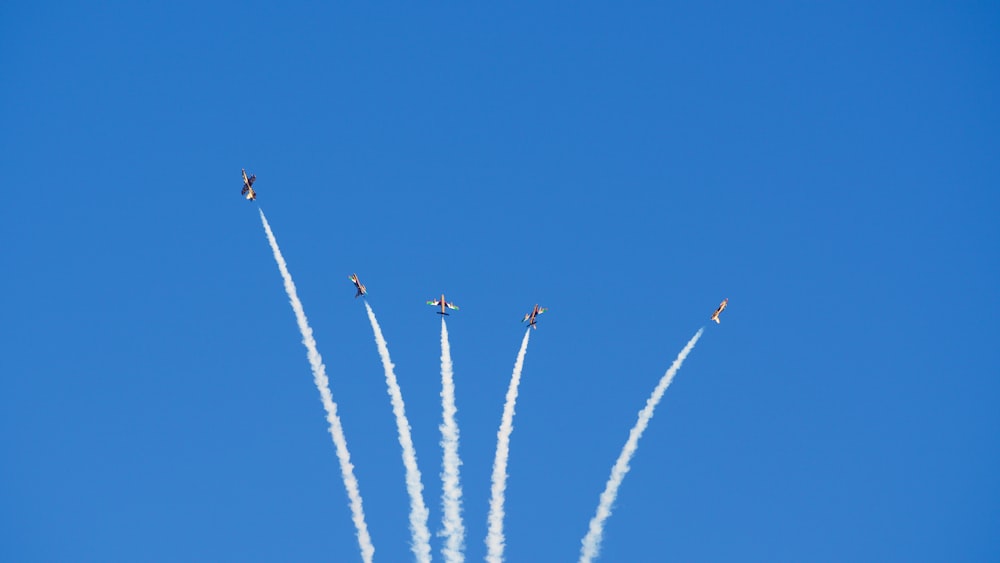 a group of birds flying through the air