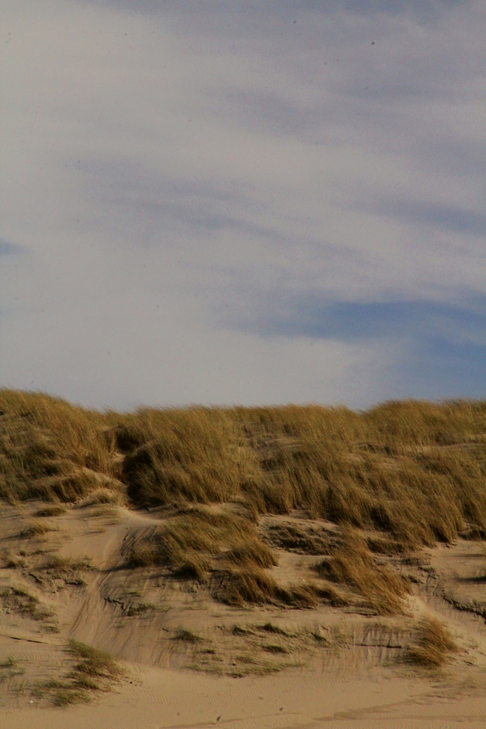 a person riding a surfboard on top of a sandy beach