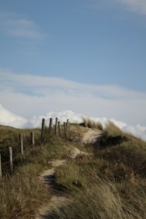a path leading to the top of a grassy hill