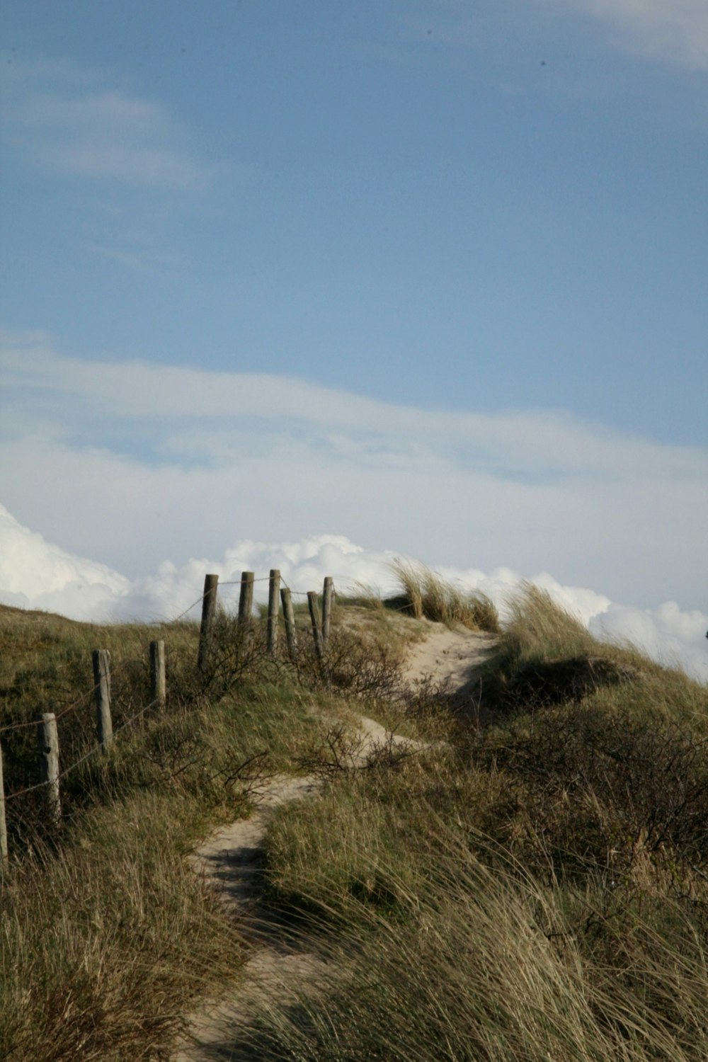 a path leading to the top of a grassy hill