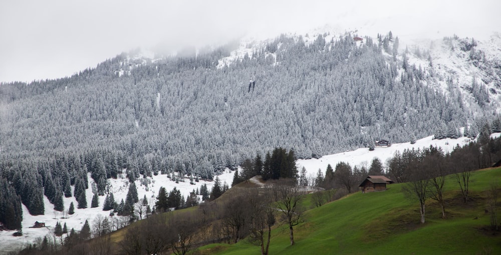 a snow covered mountain with a house in the foreground