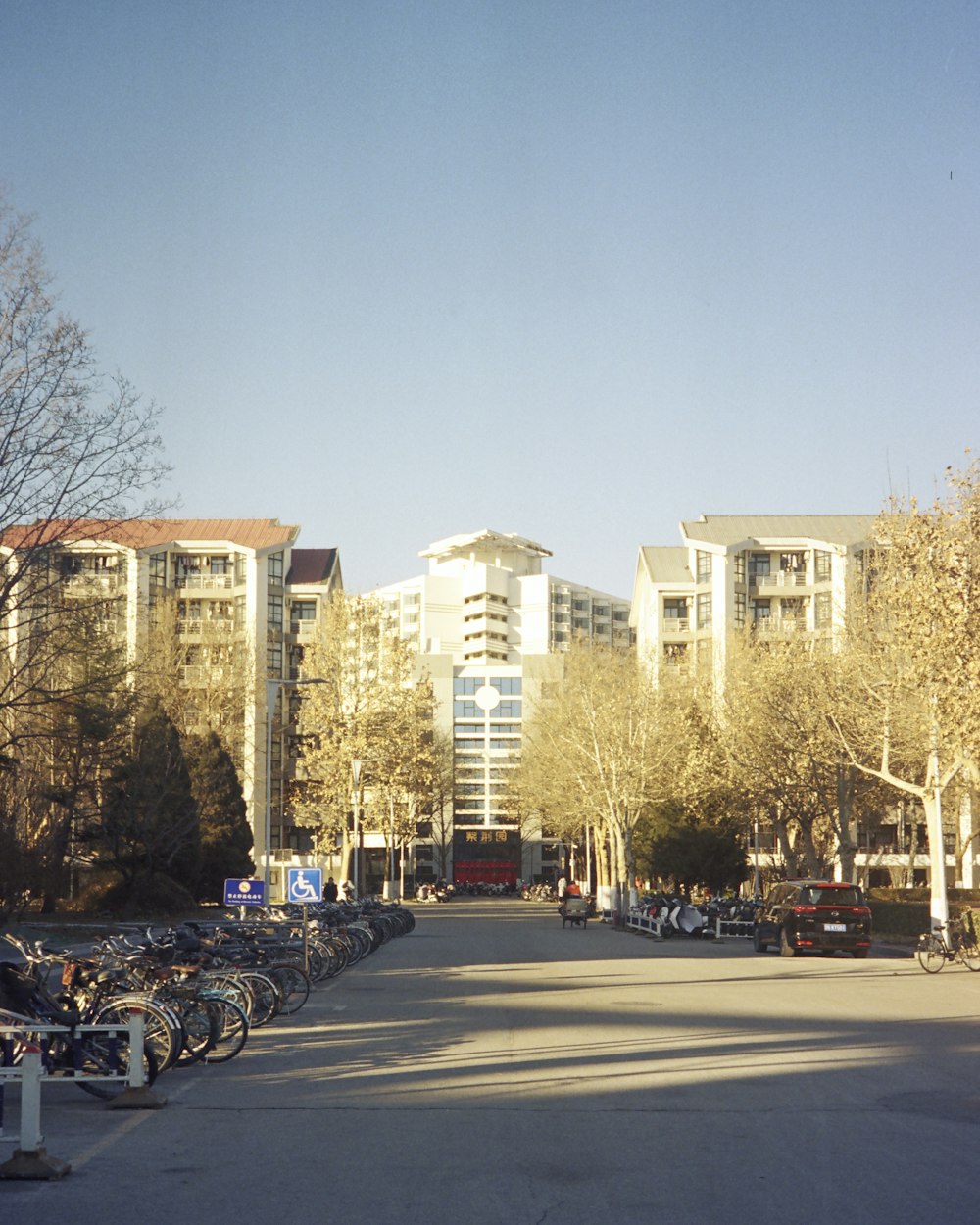 a row of parked bicycles on a city street