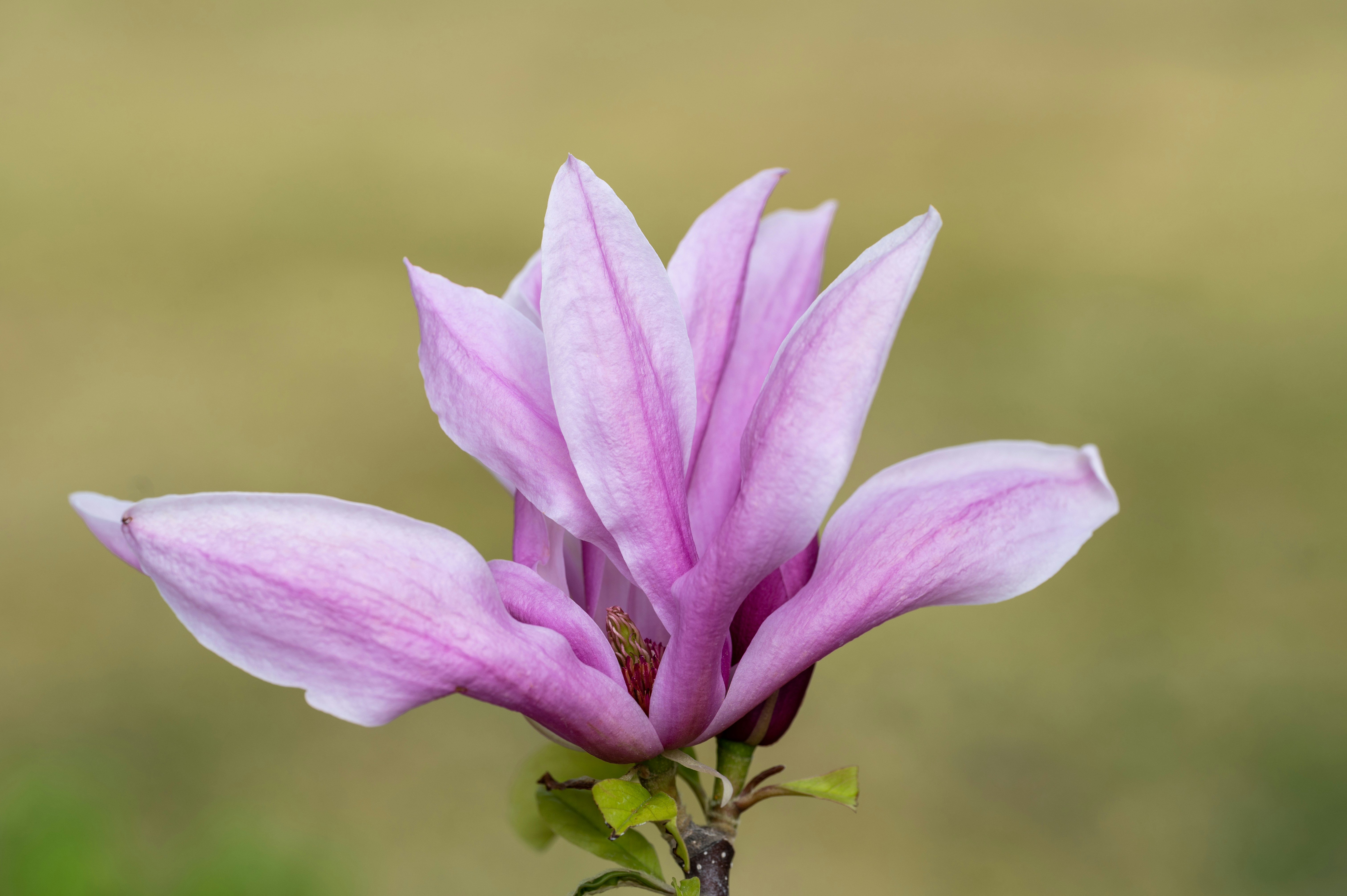 Photo by carrie_borden