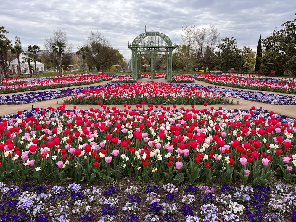 a garden filled with lots of flowers under a cloudy sky