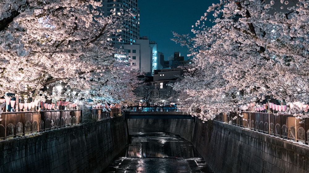 a river running through a city next to tall buildings