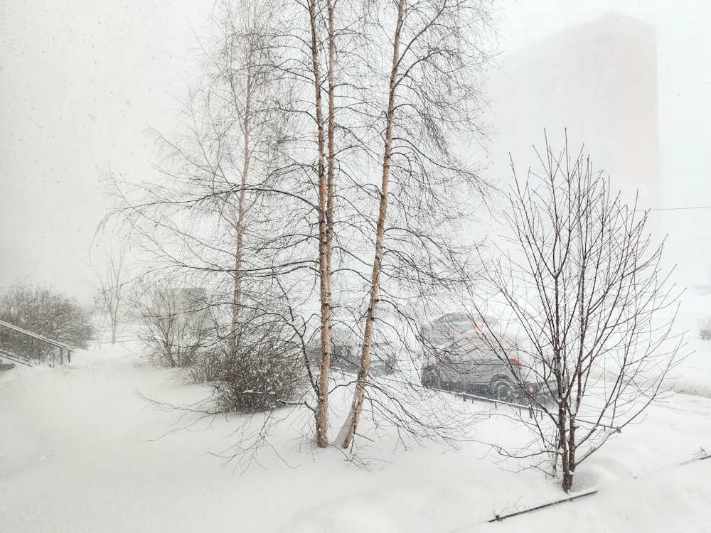 a snowy street with cars parked on the side of it