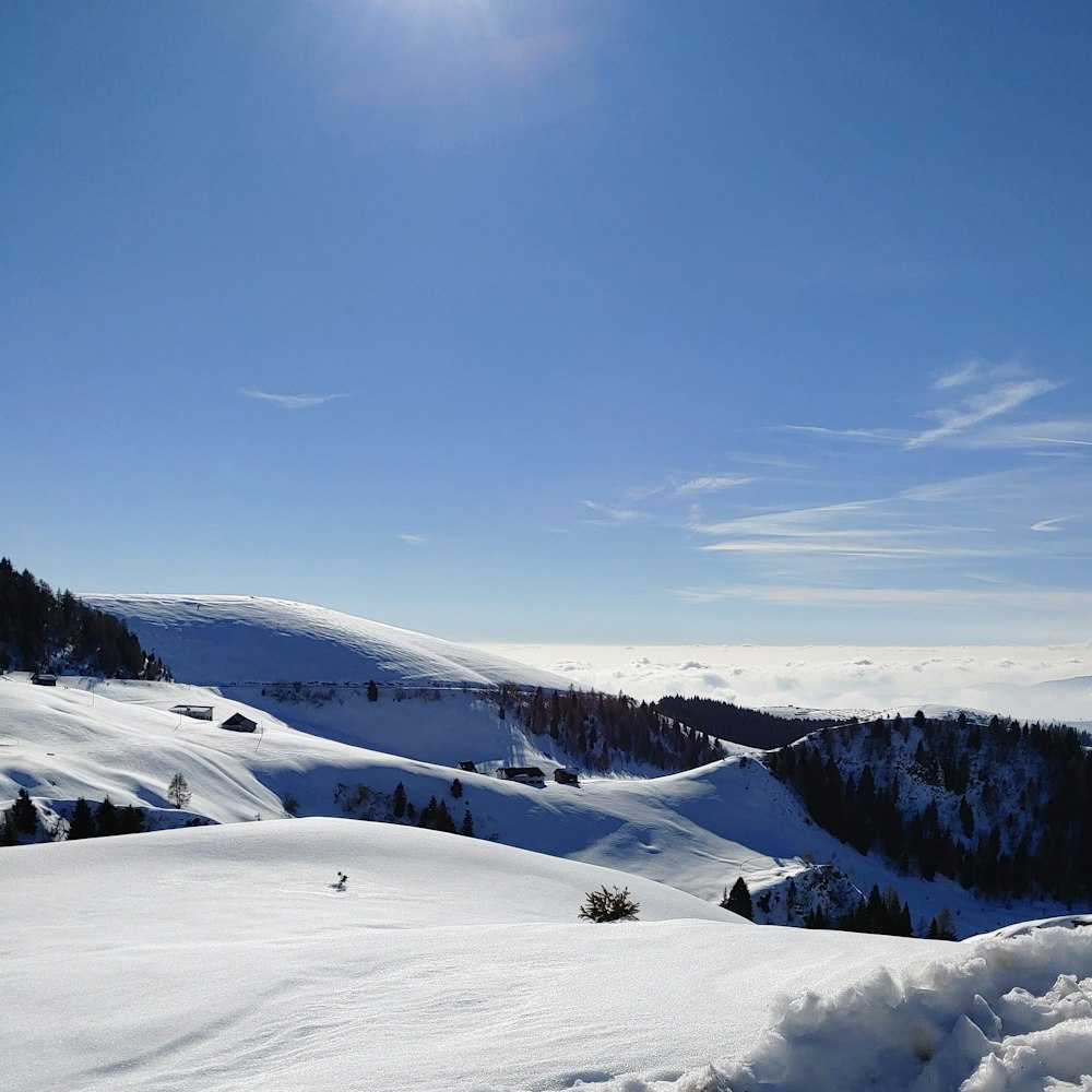 雪に覆われたゲレンデの上でスキーを滑る人