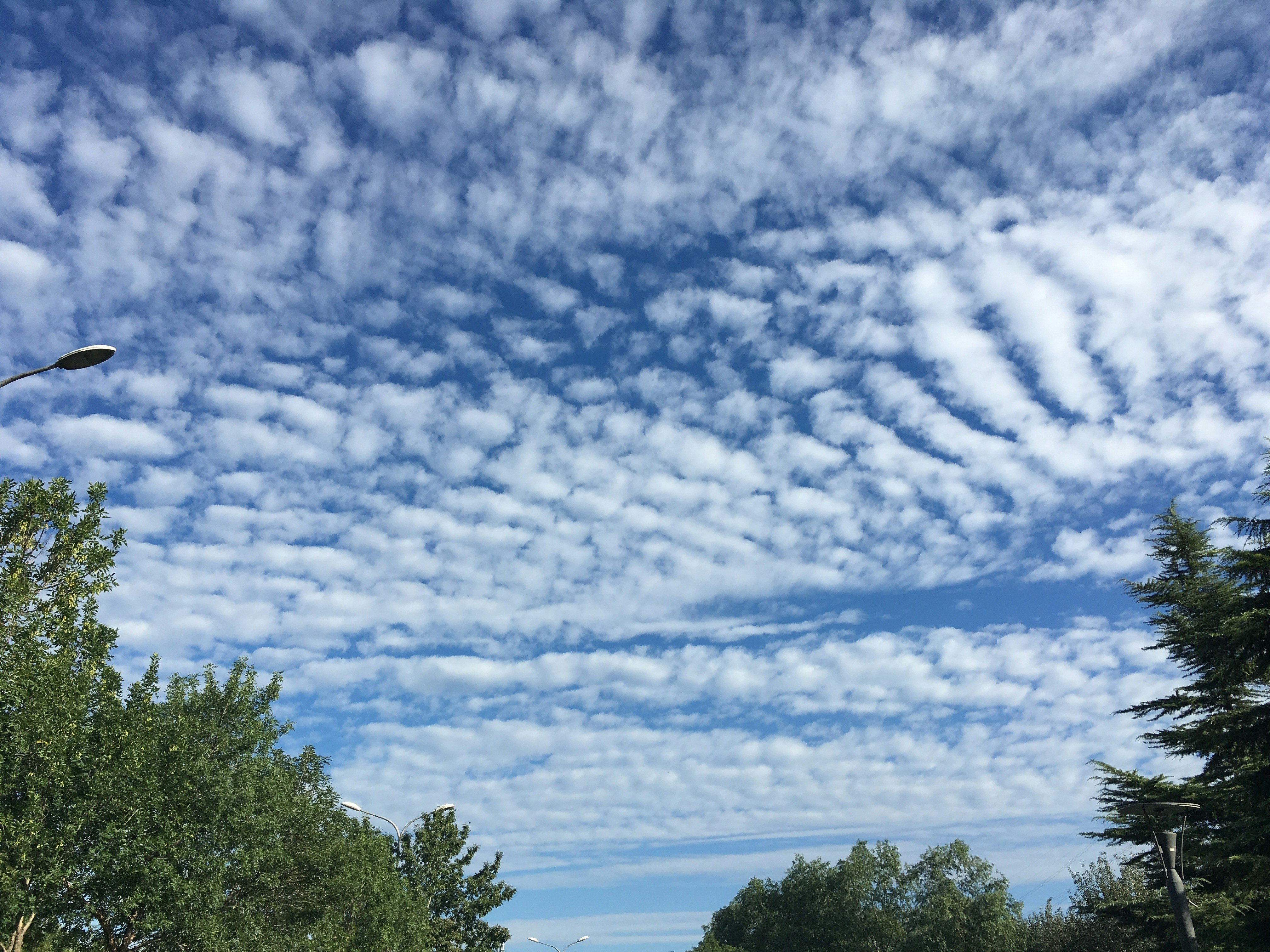 photo 1712495113574 f750b7922e68?crop=entropy&cs=tinysrgb&fit=max&fm=jpg&ixid=M3w1MjQ0NjR8MHwxfHNlYXJjaHwxMHx8Q2xvdWQlMjBGb3JtYXRpb25zfGVufDB8MHx8fDE3NTE0NTc3Mjd8MA&ixlib=rb 4.1