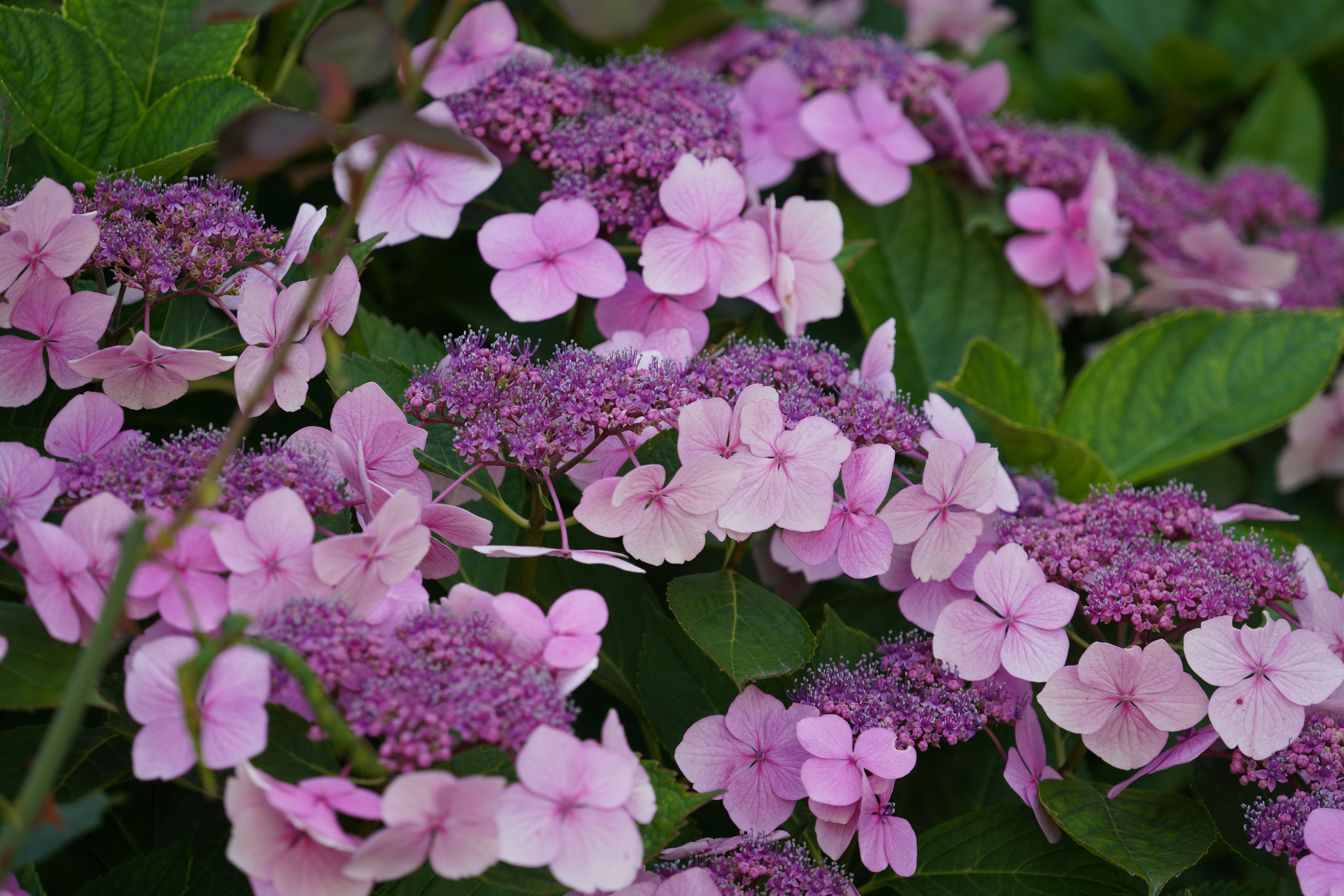 Photo by hooverpaul55