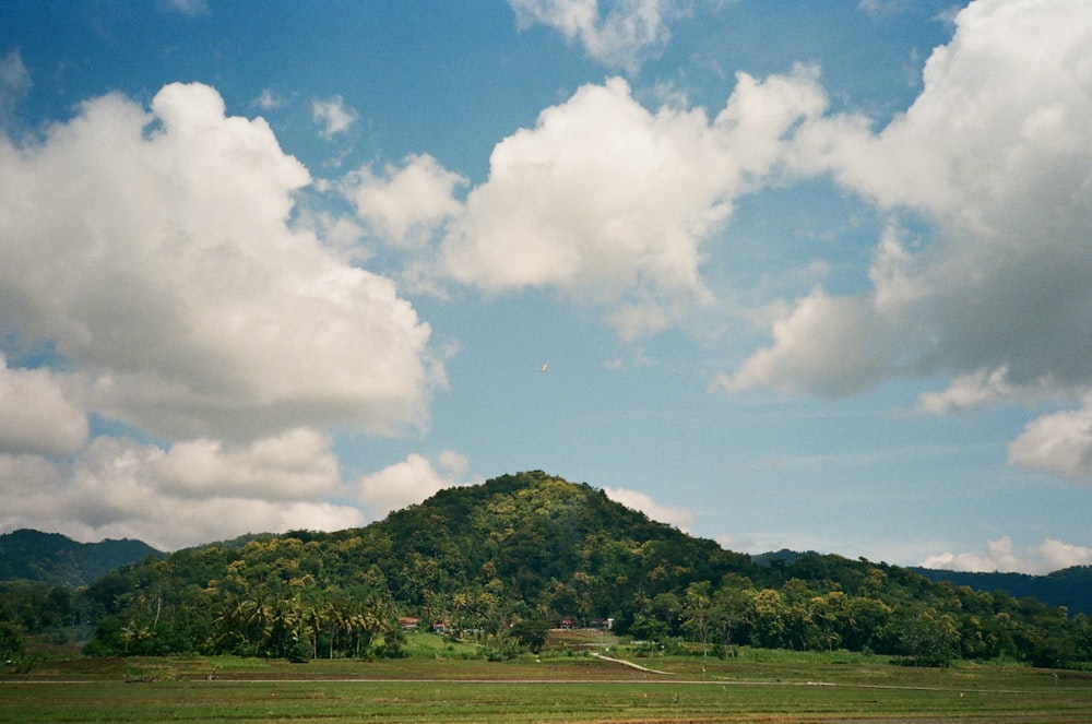 a green field with a mountain in the background