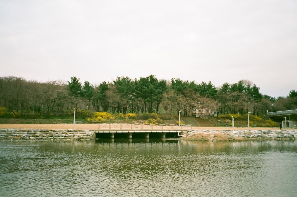 a bridge over a body of water near a forest