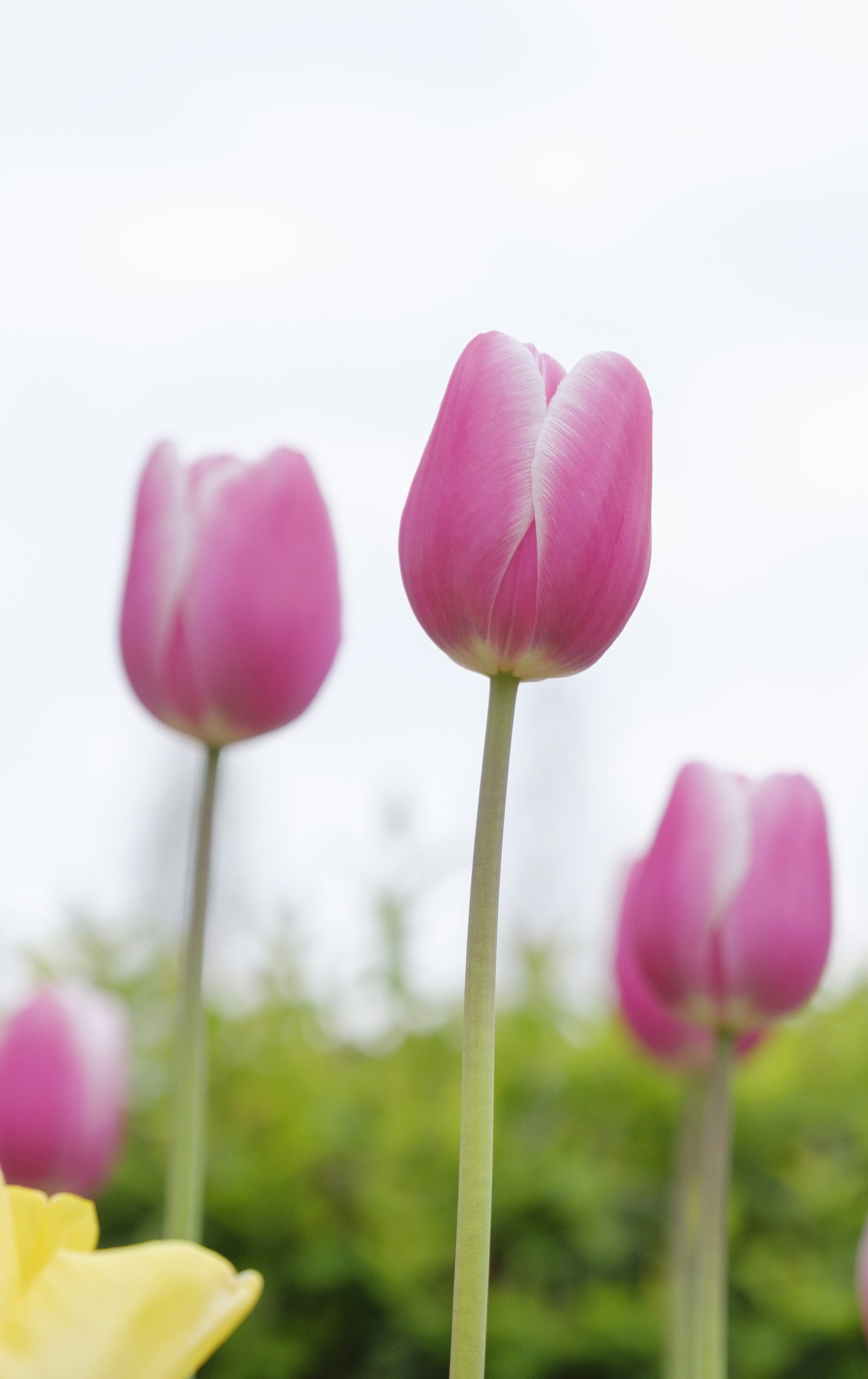 Photo by wenhao_ruan