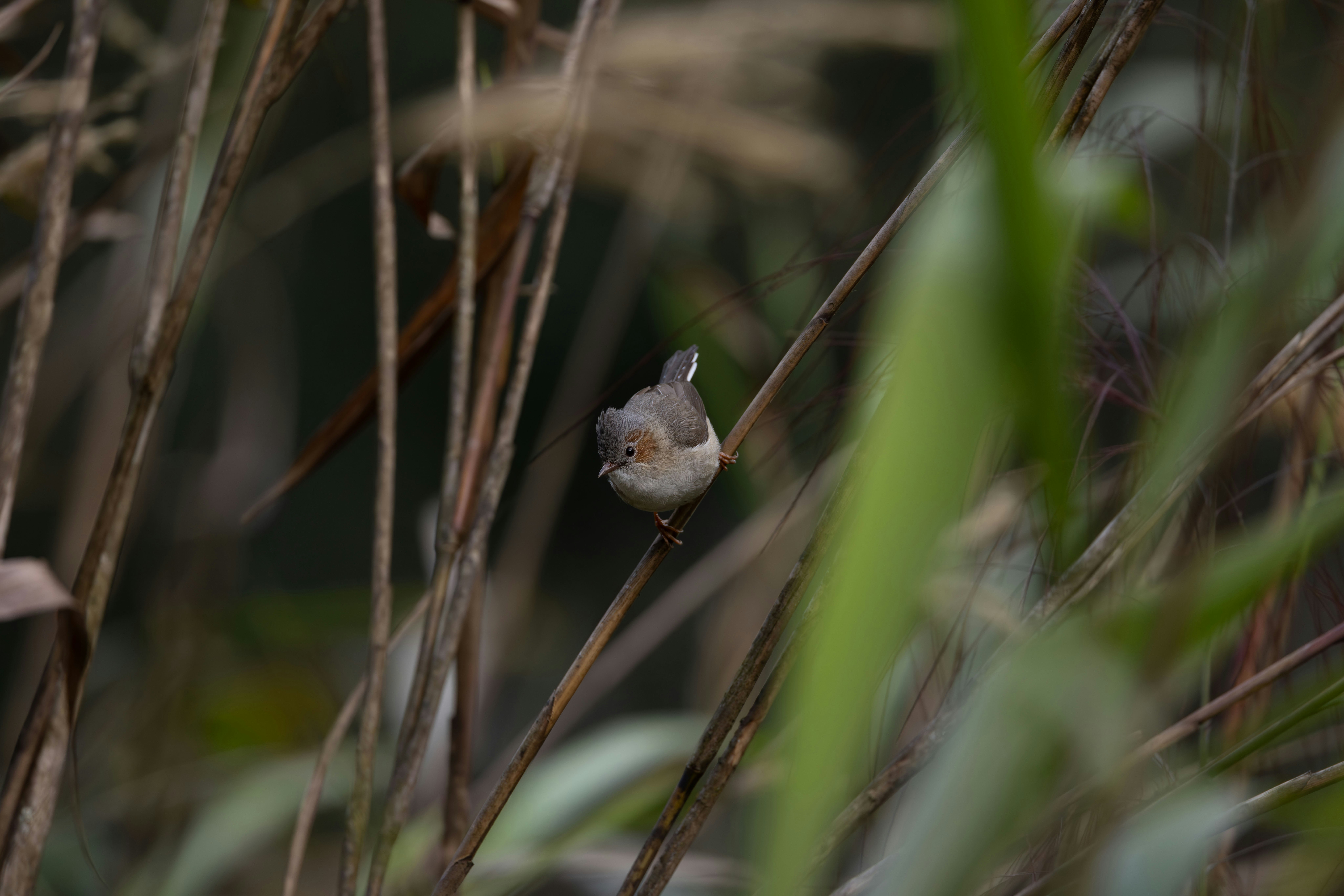 Photo by winefinderac