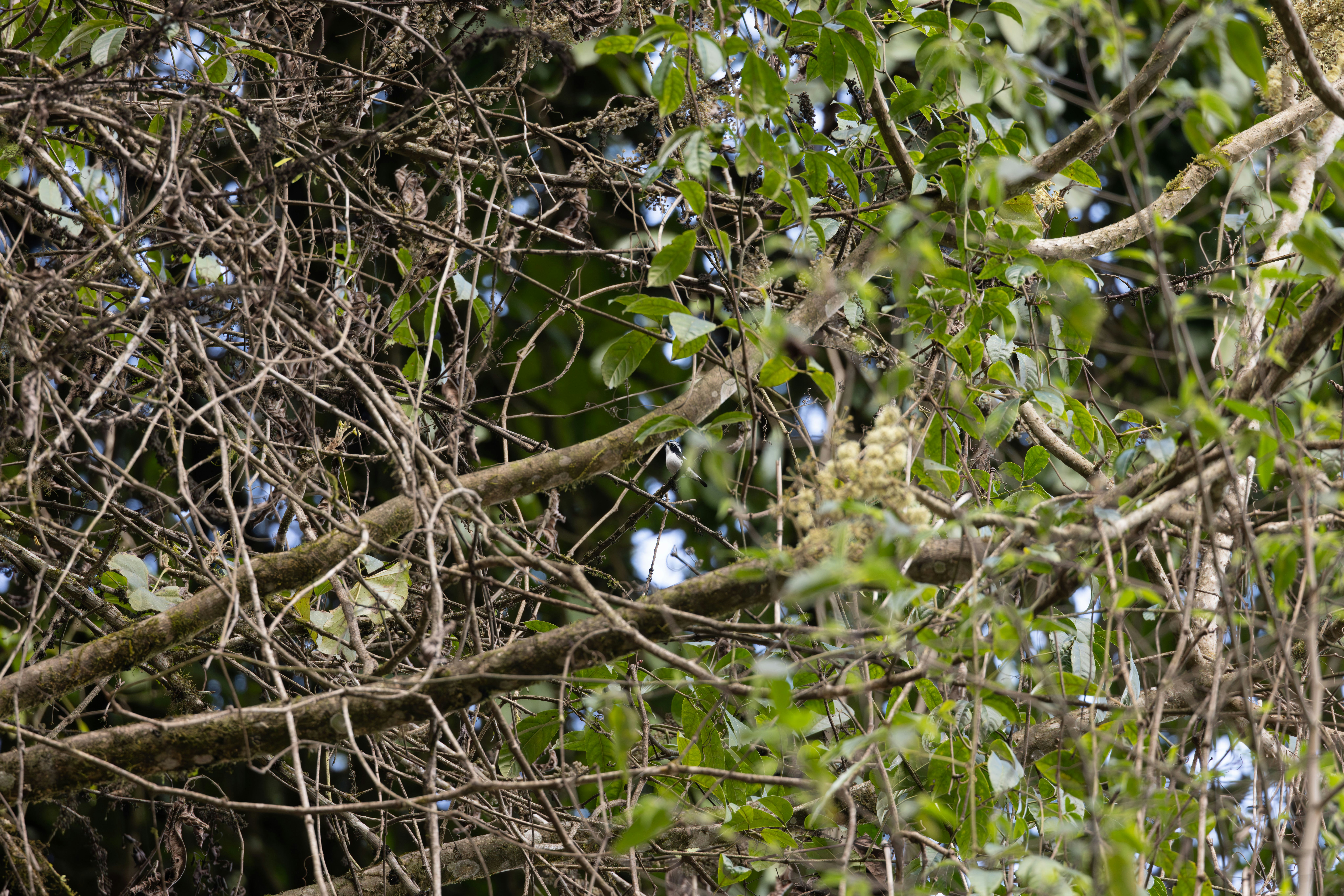 Photo by winefinderac