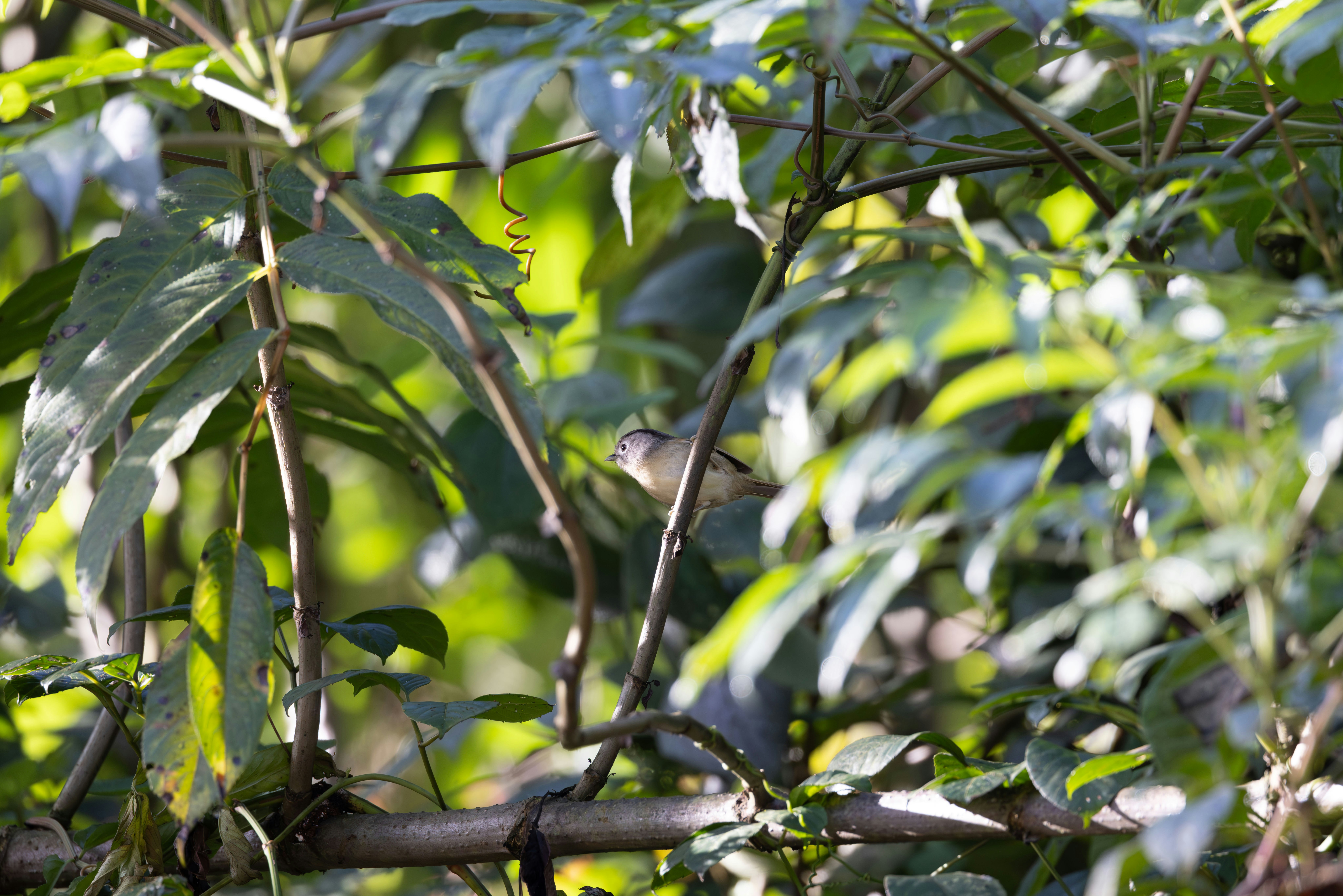 Photo by winefinderac