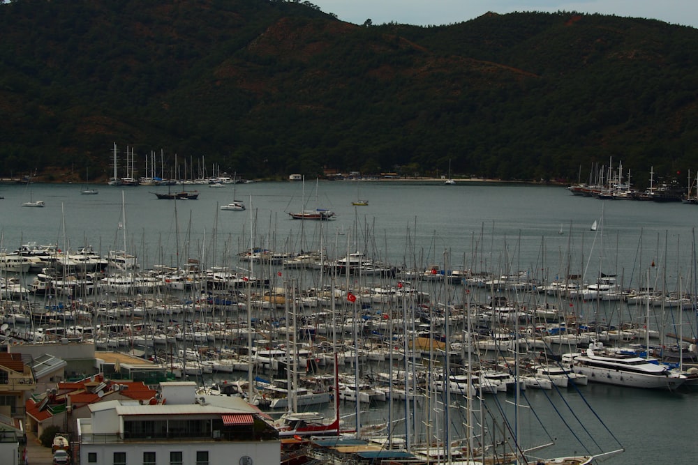 a harbor filled with lots of boats on top of water