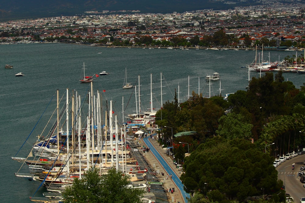 Un port rempli de bateaux à côté d’une ville