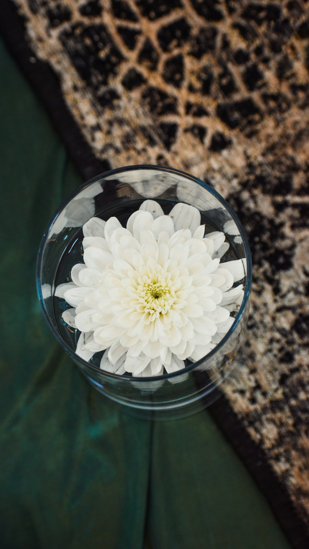 a white flower in a clear glass vase