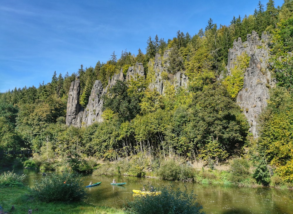 a group of canoes floating down a river next to a forest