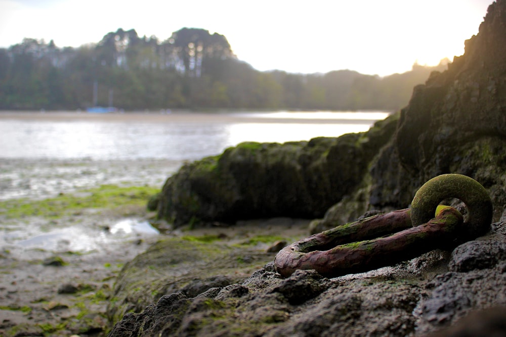 a rock with a chain on it next to a body of water